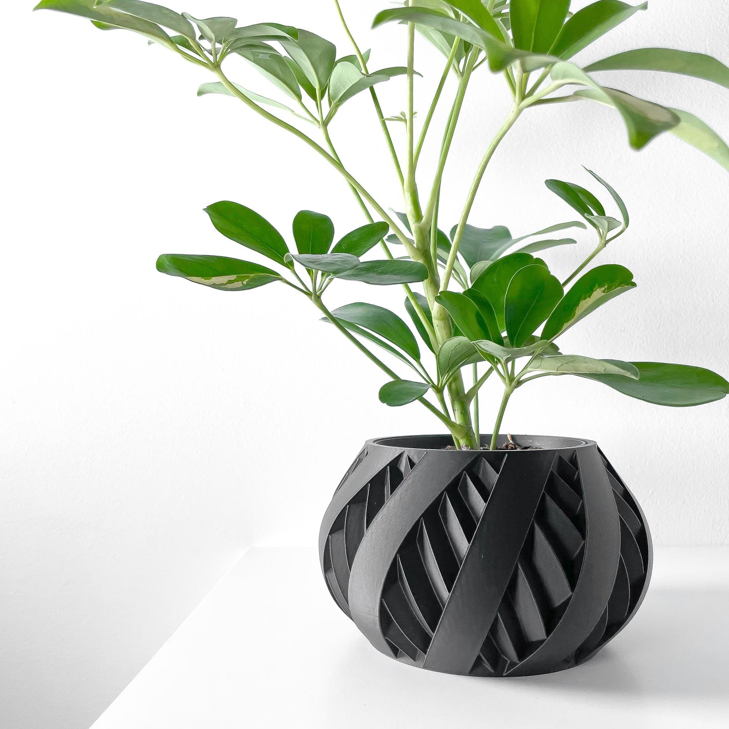 The Silvo Planter