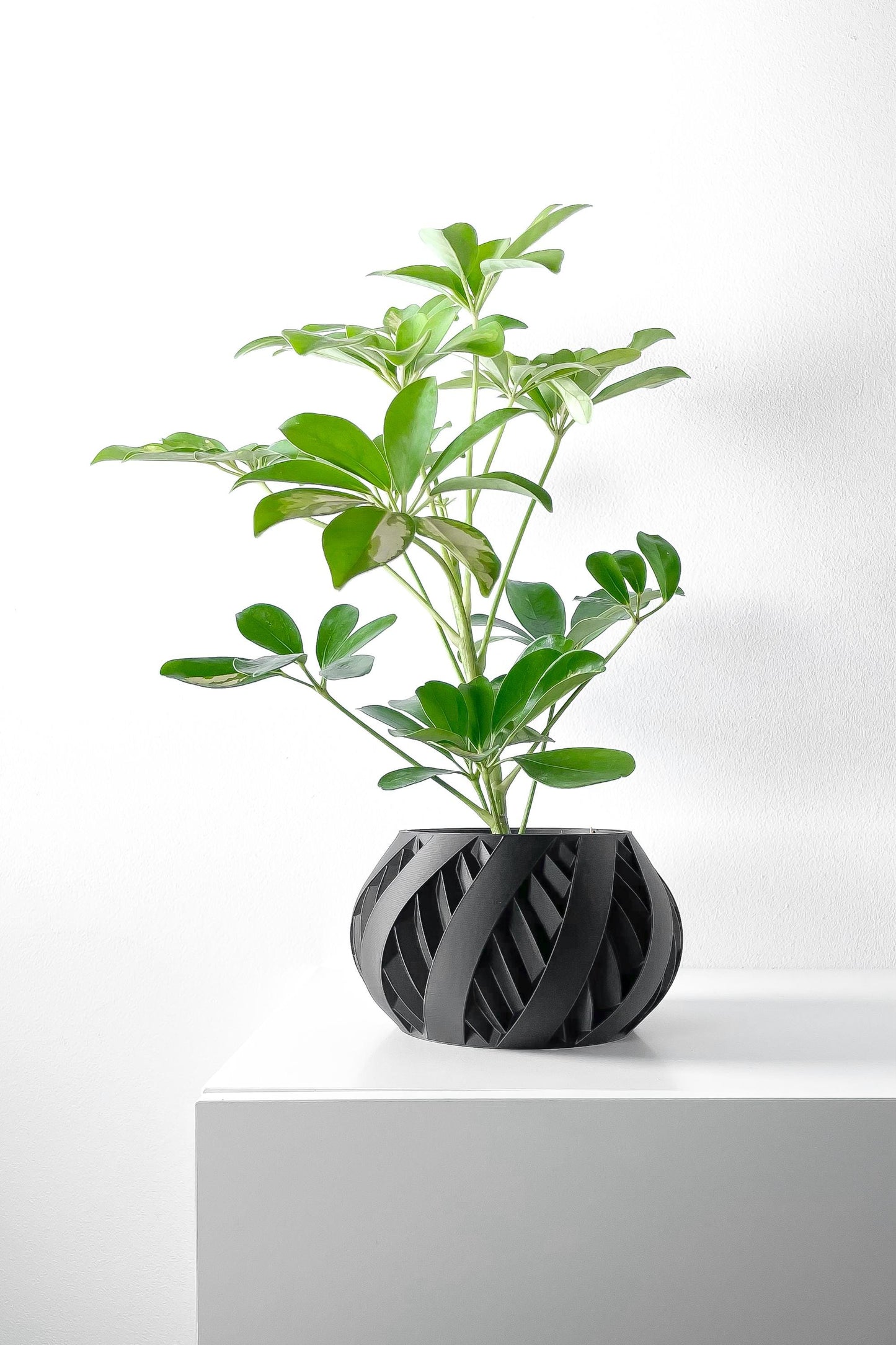 The Silvo Planter