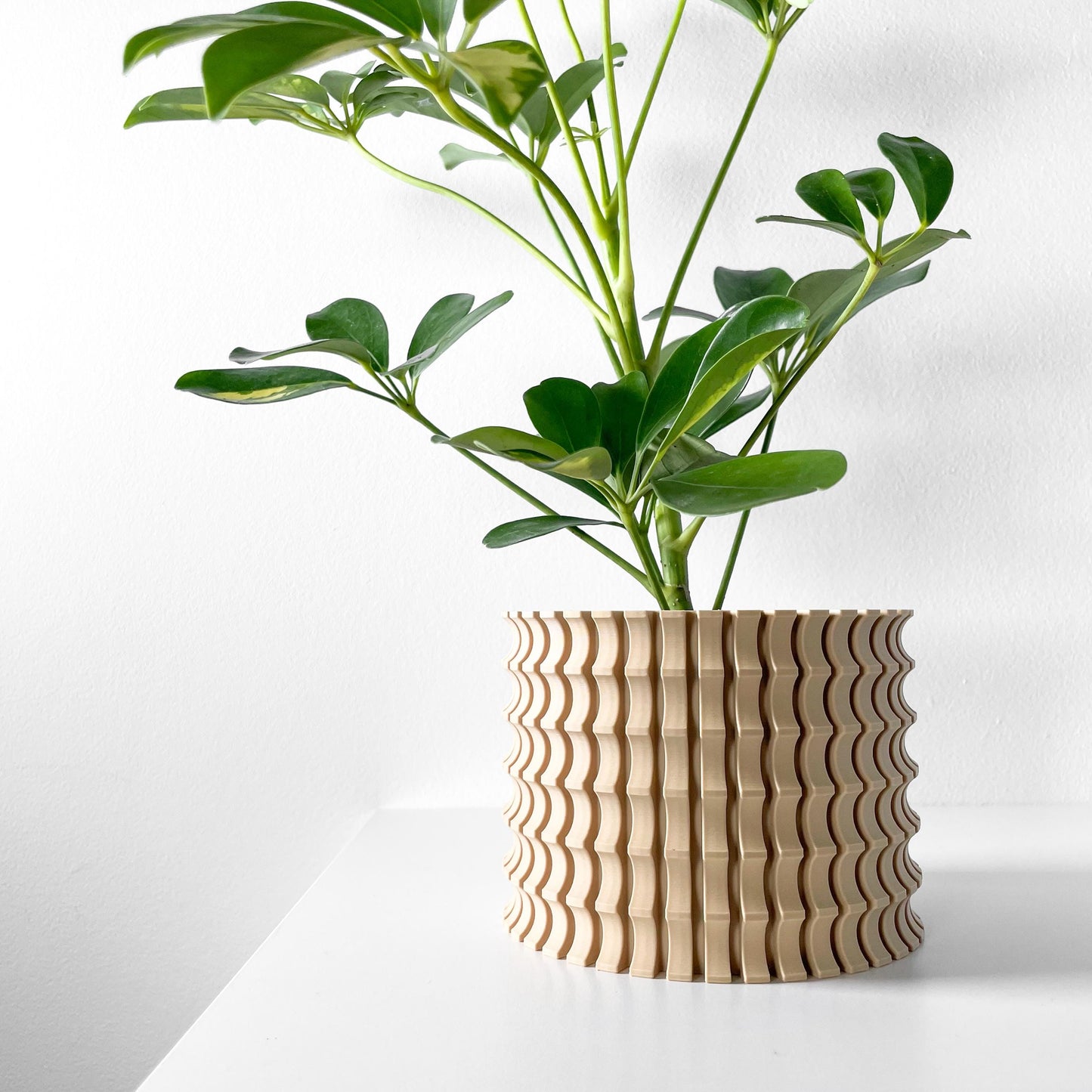 The Tulam Planter