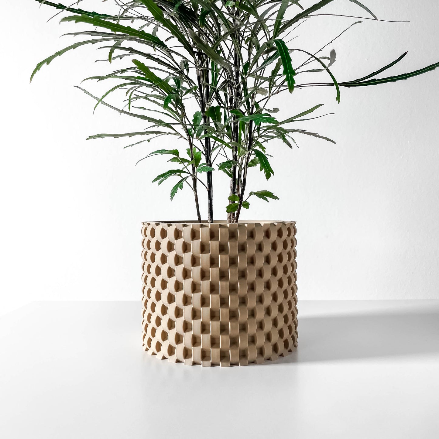 The Cheo Planter