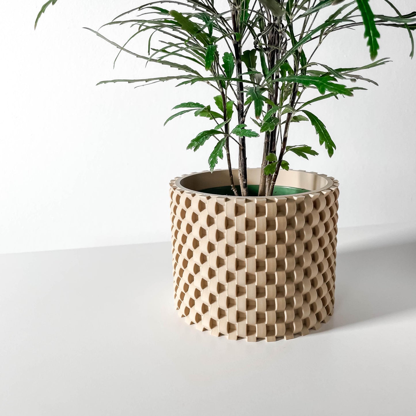 The Cheo Planter