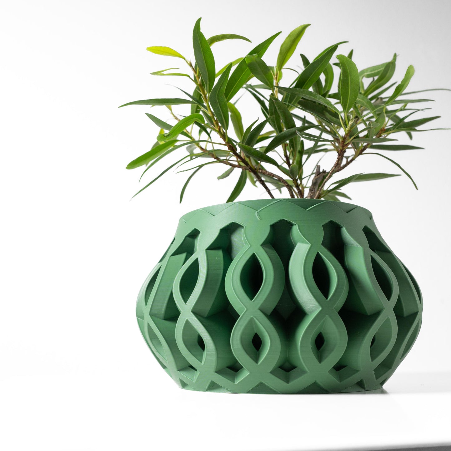 The Cylas Planter