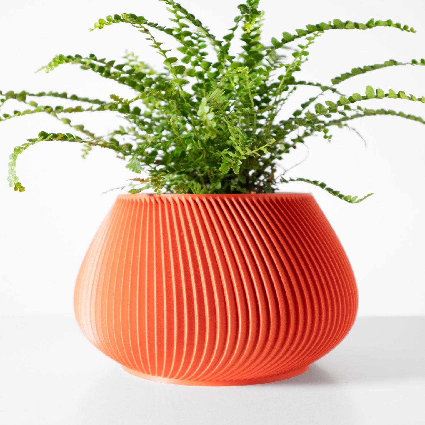 The Davi Planter