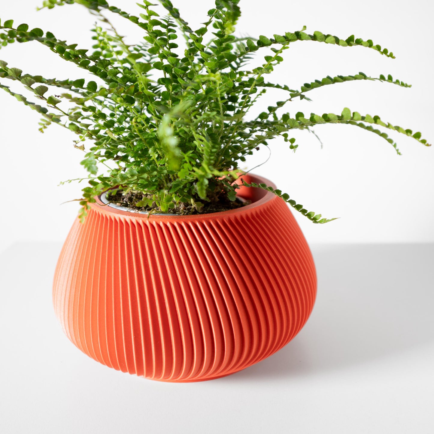The Davi Planter