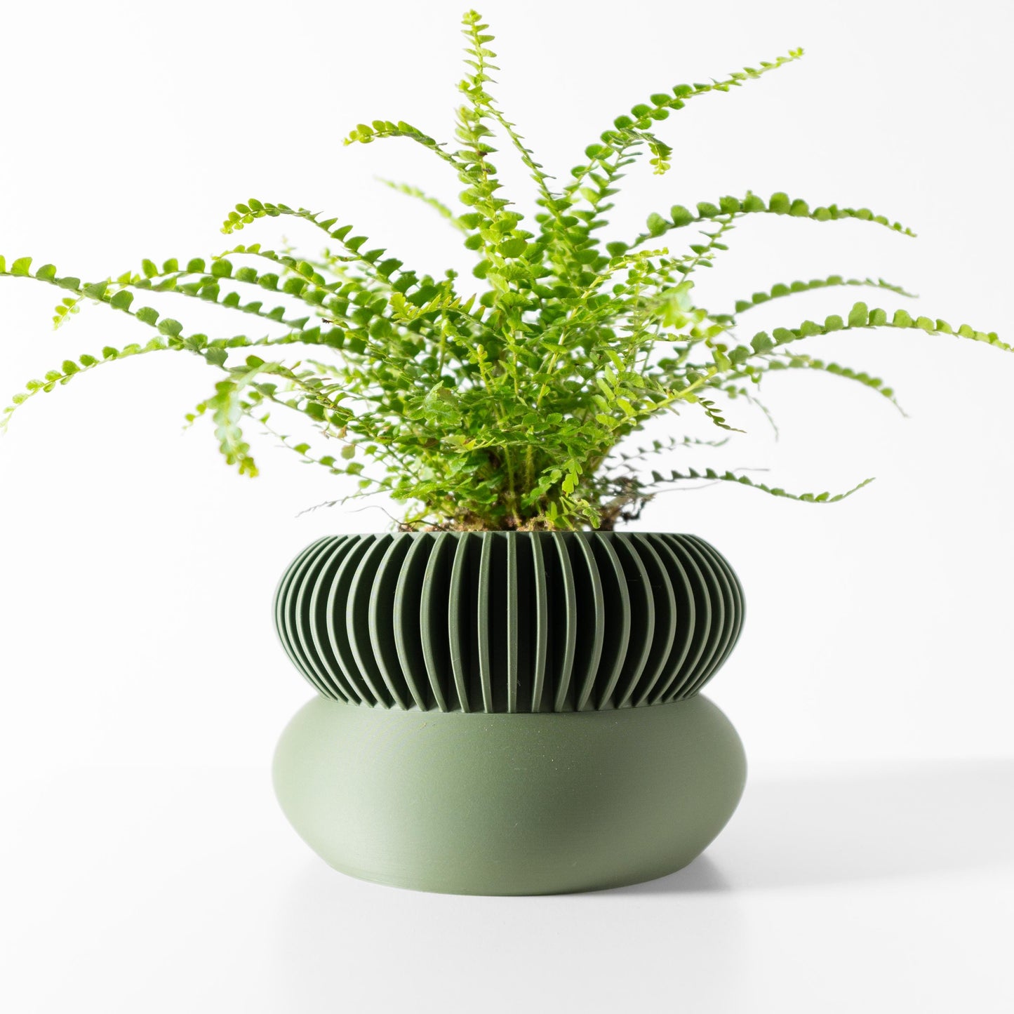The Elomi Planter