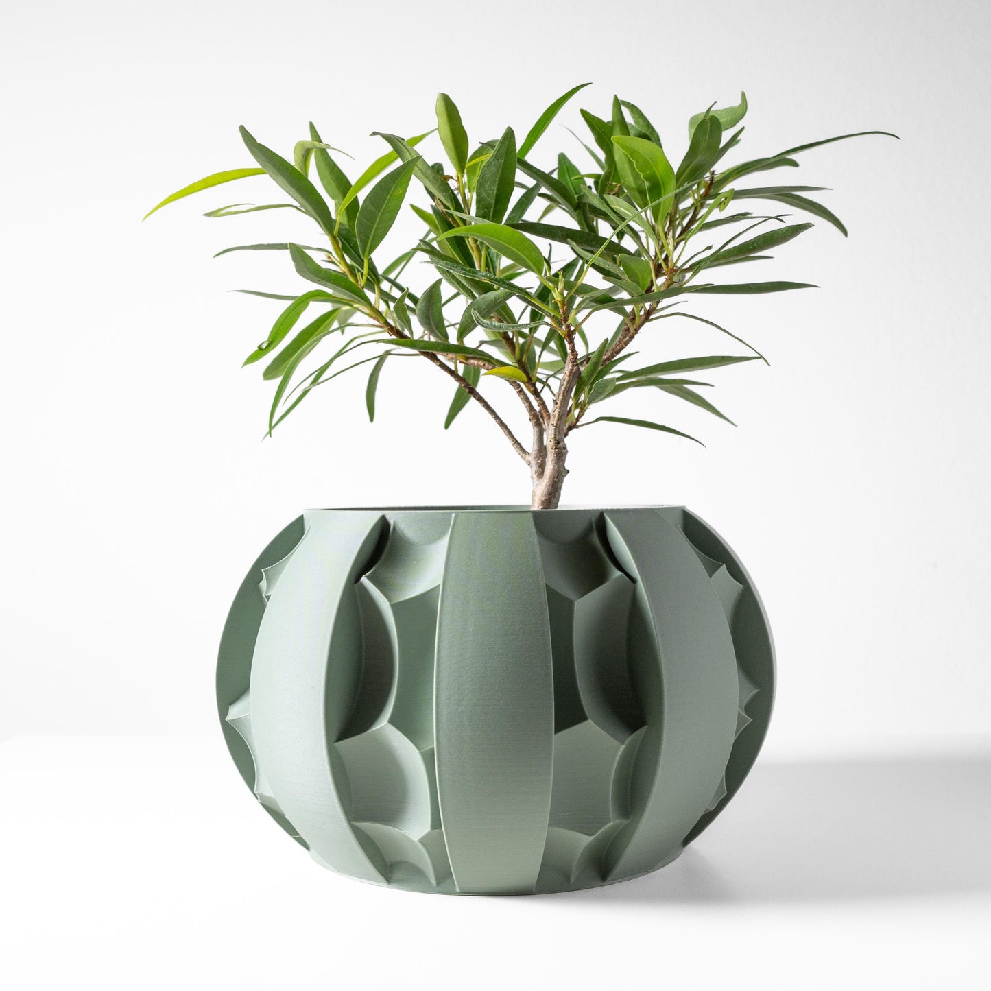 The Erna Planter