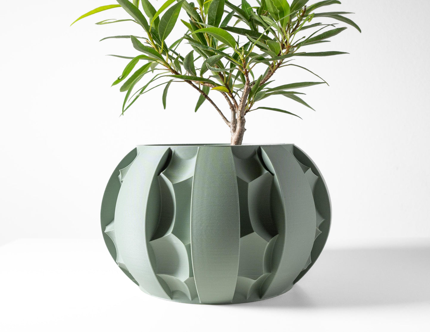 The Erna Planter