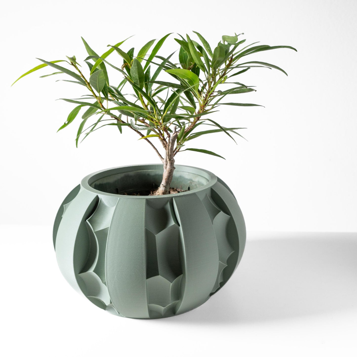 The Erna Planter
