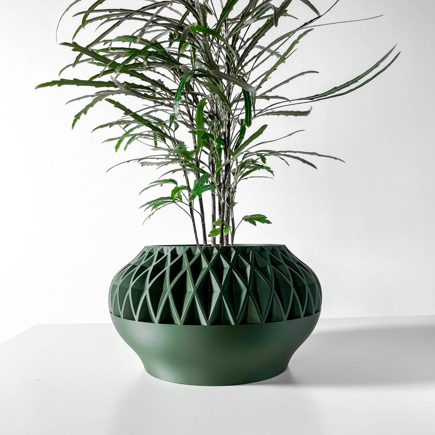 The Erso Planter