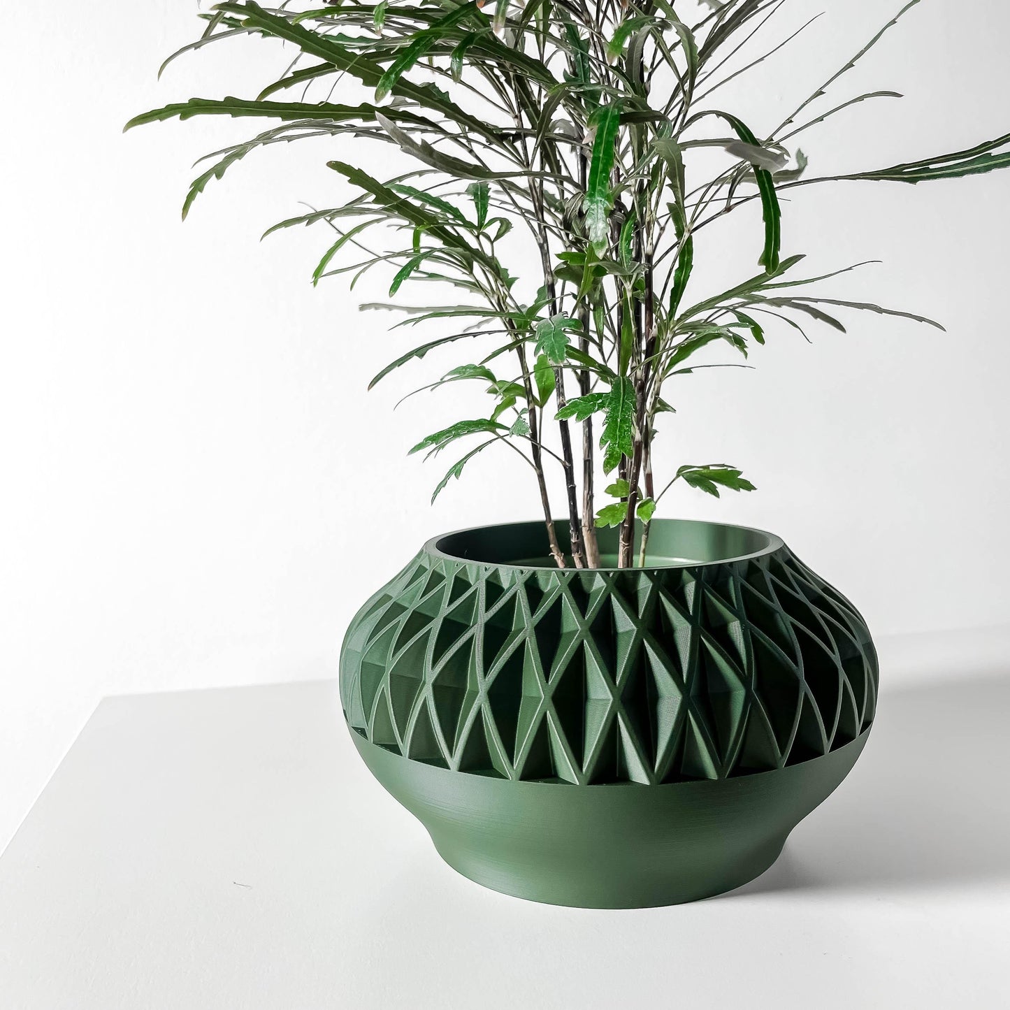 The Erso Planter