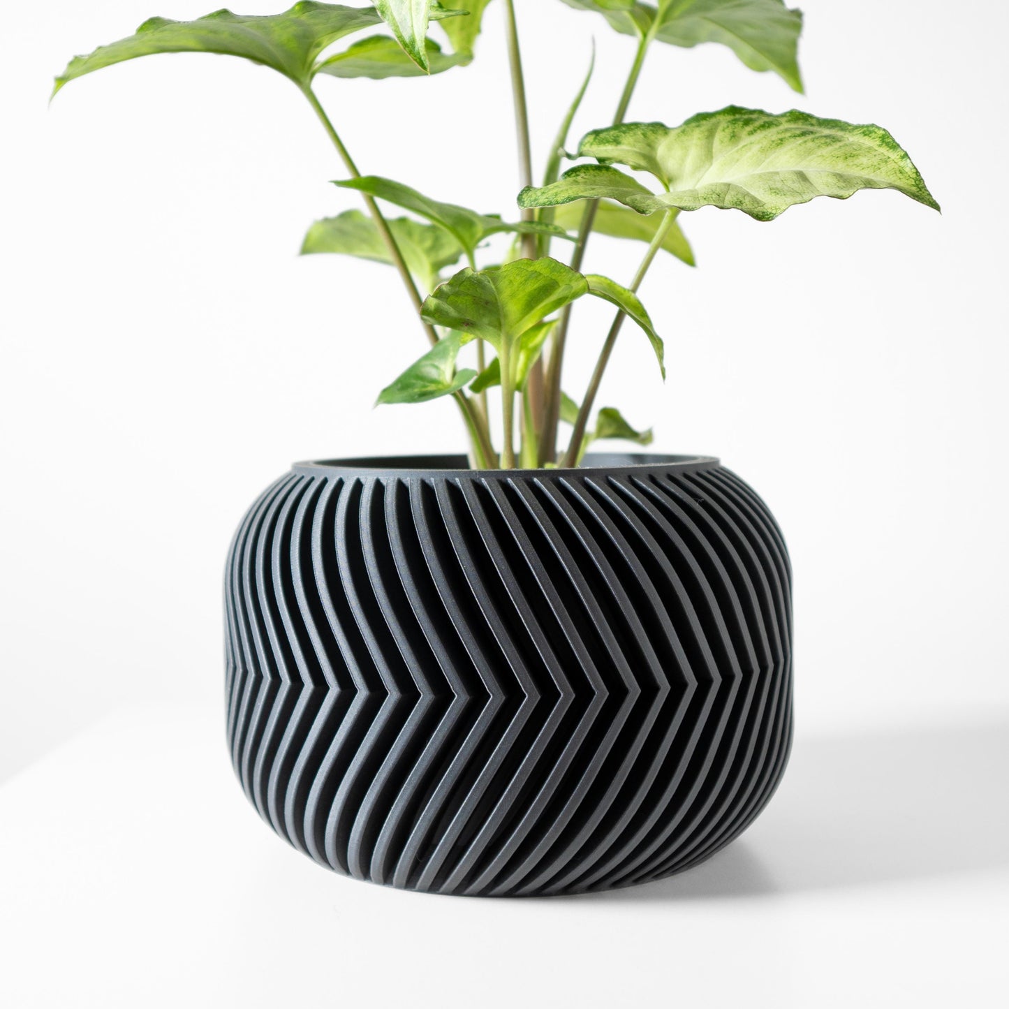 The Ervon Planter