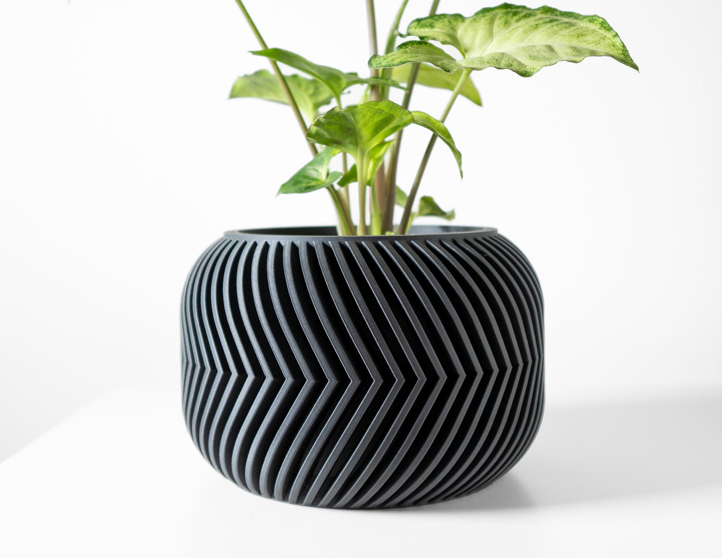 The Ervon Planter