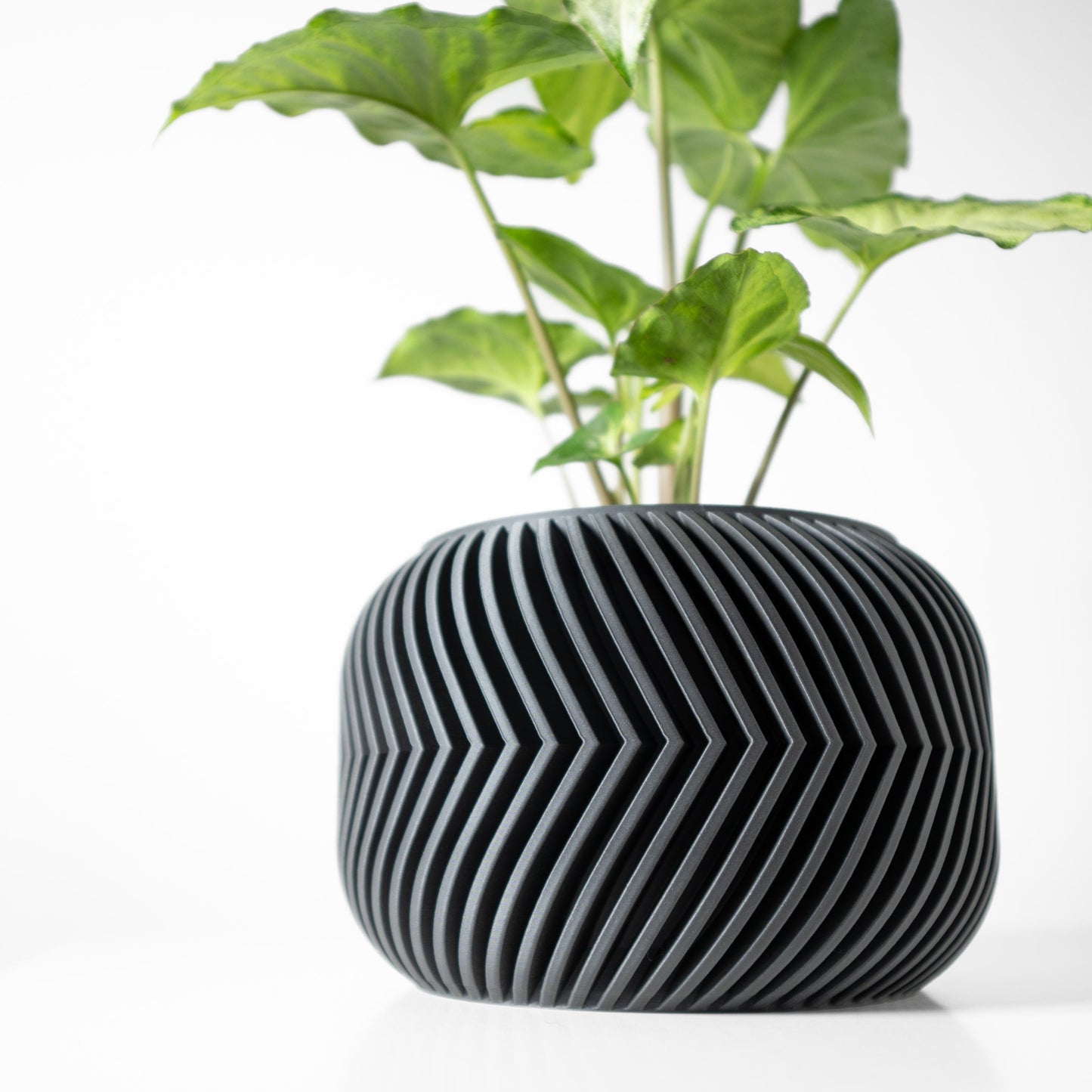 The Ervon Planter