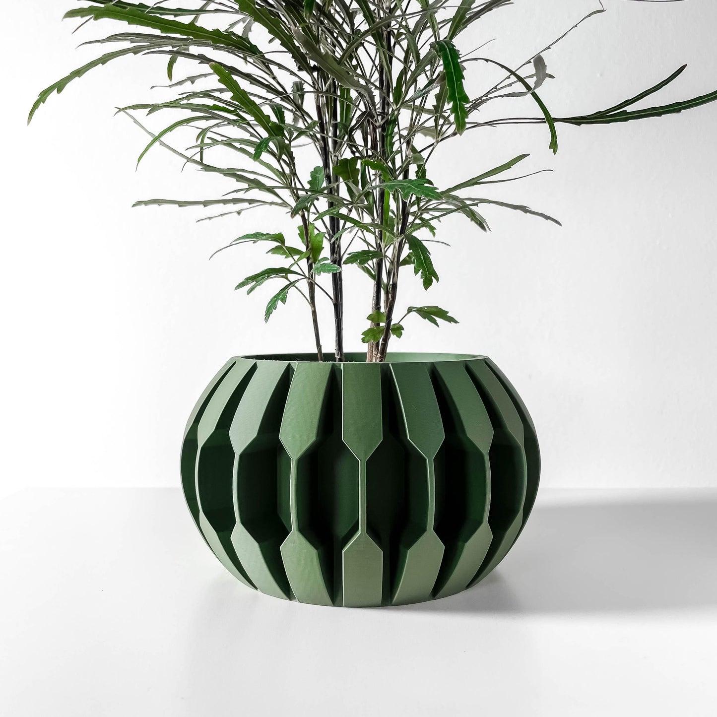 The Gervi Planter