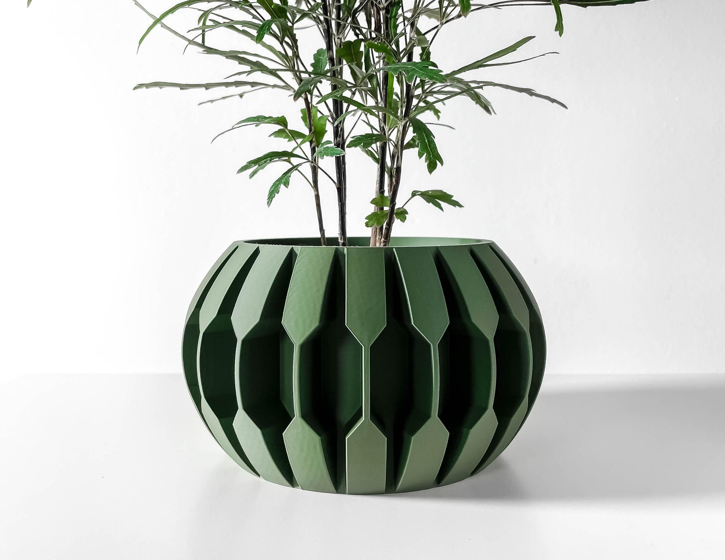 The Gervi Planter