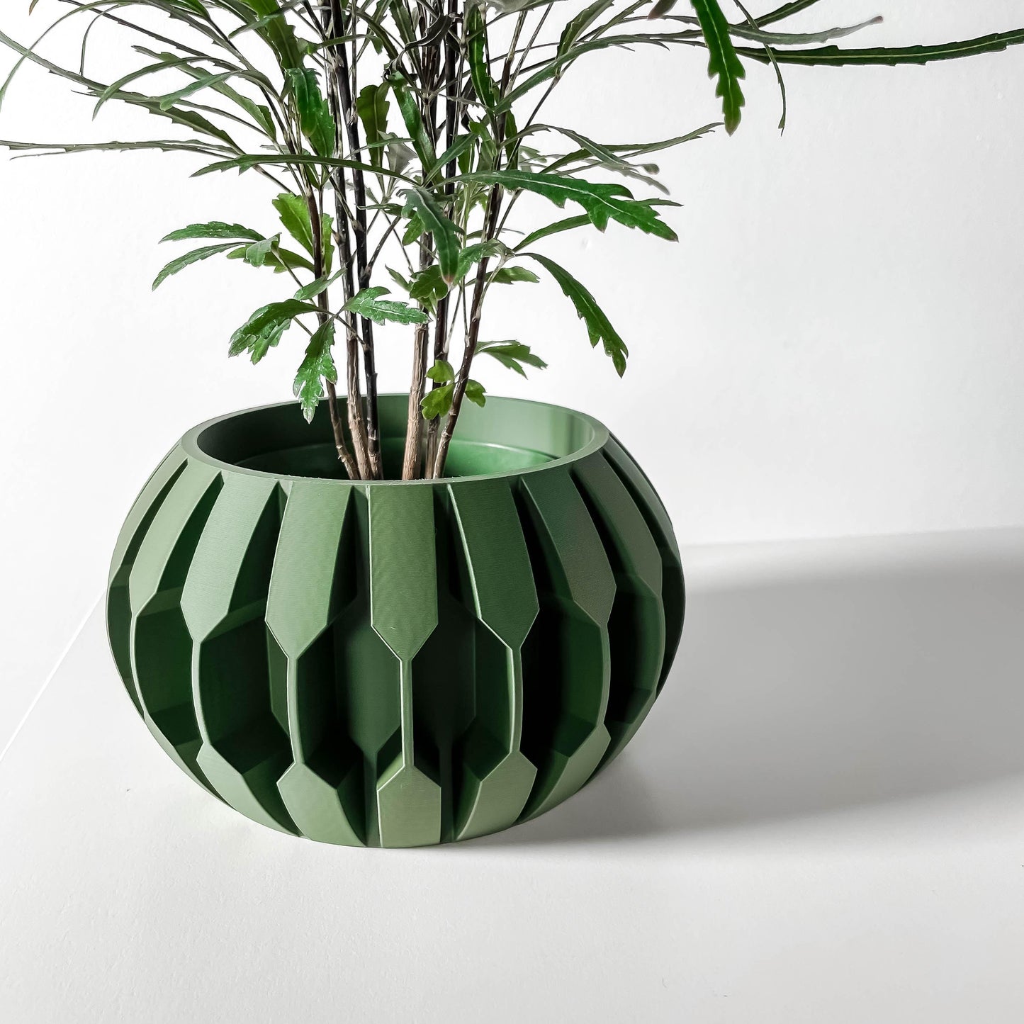 The Gervi Planter