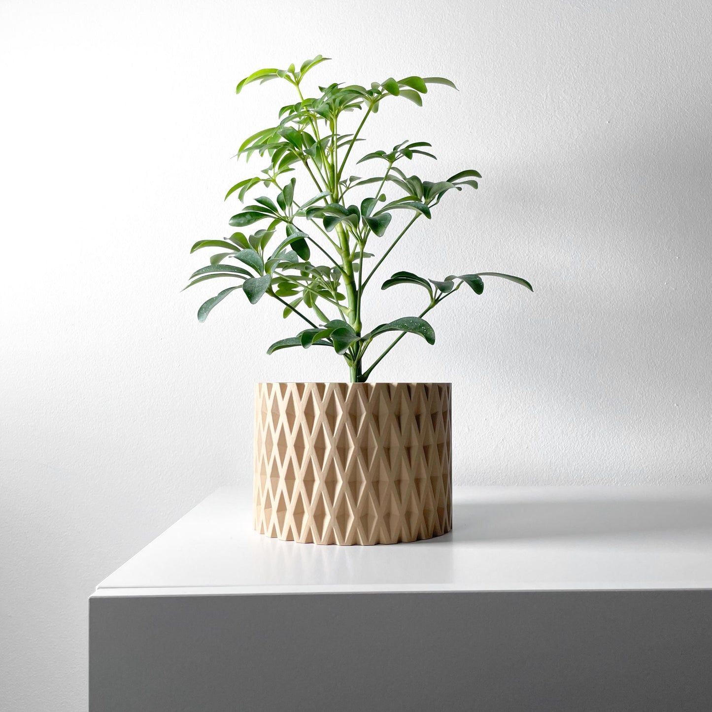 The Grivan Planter