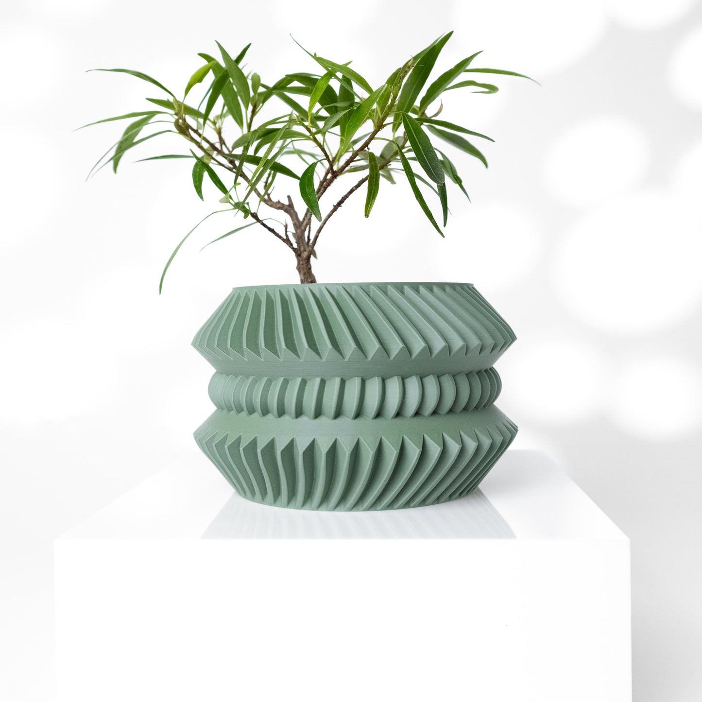 The Jako Planter