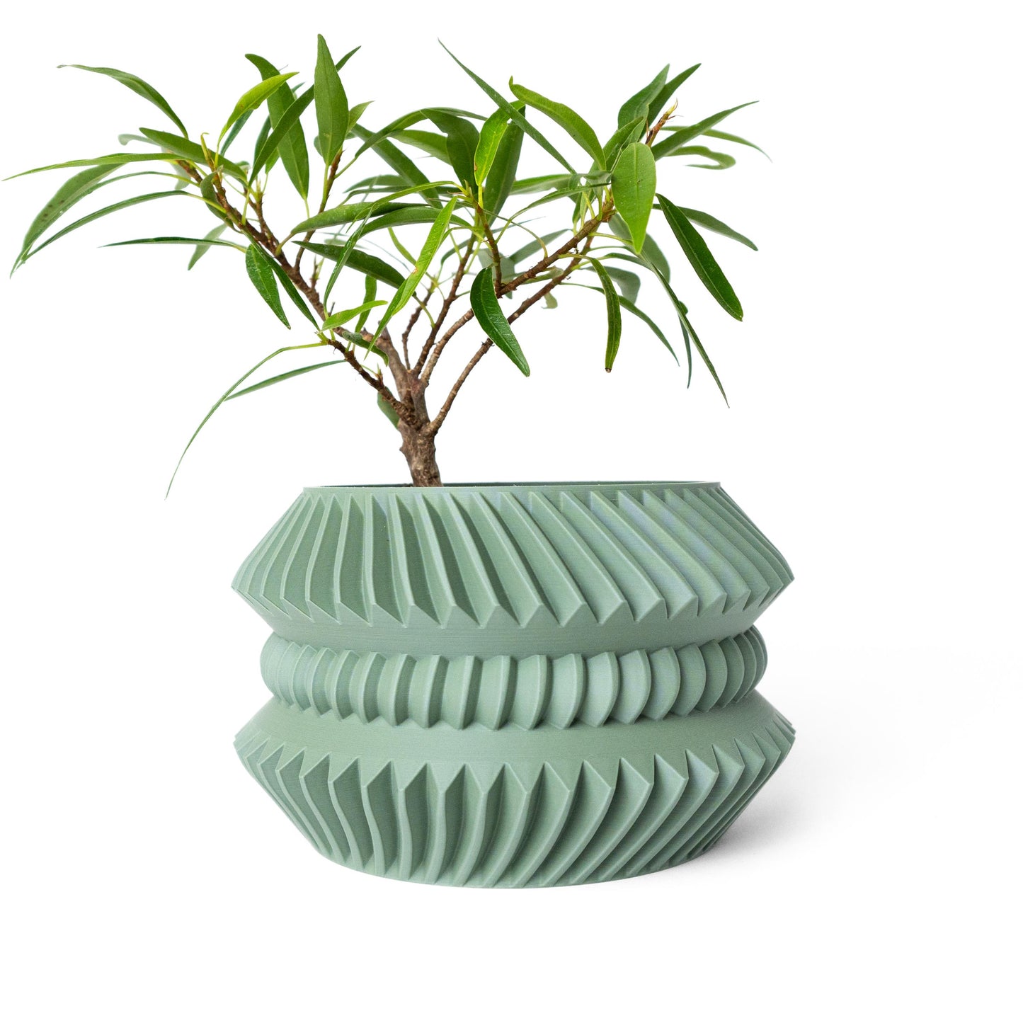 The Jako Planter