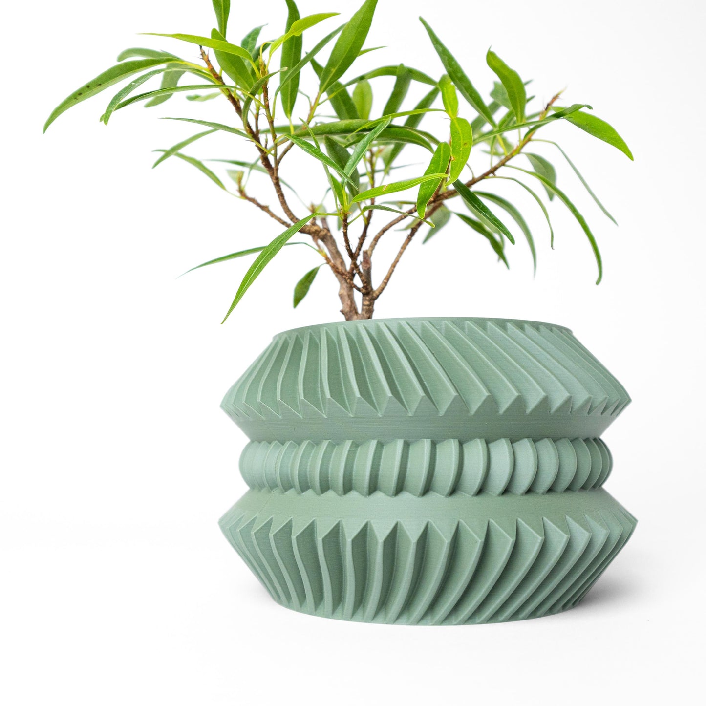 The Jako Planter