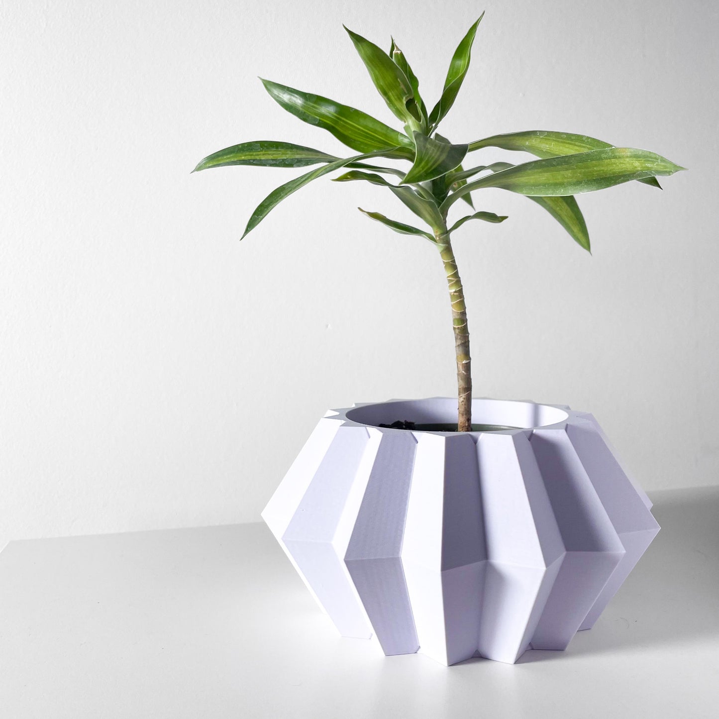 The Jun Planter