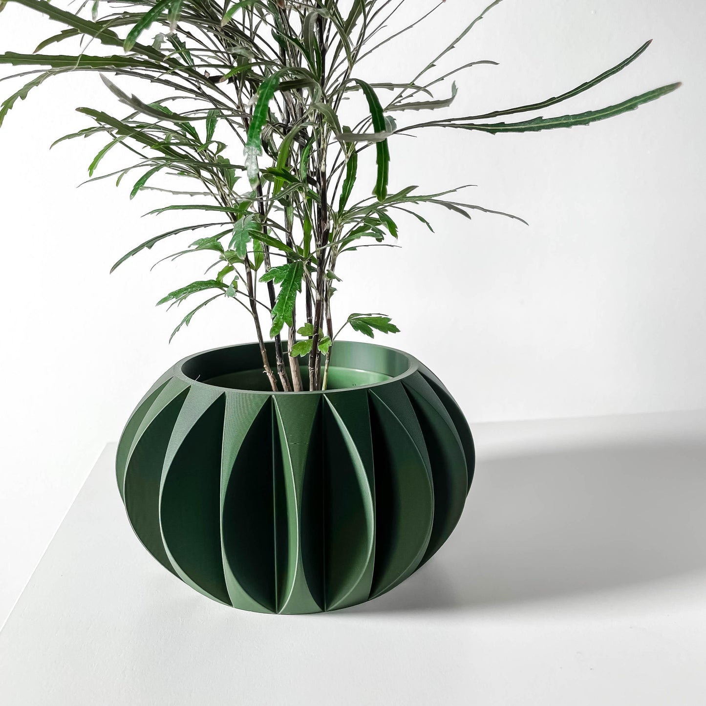 The Kire Planter