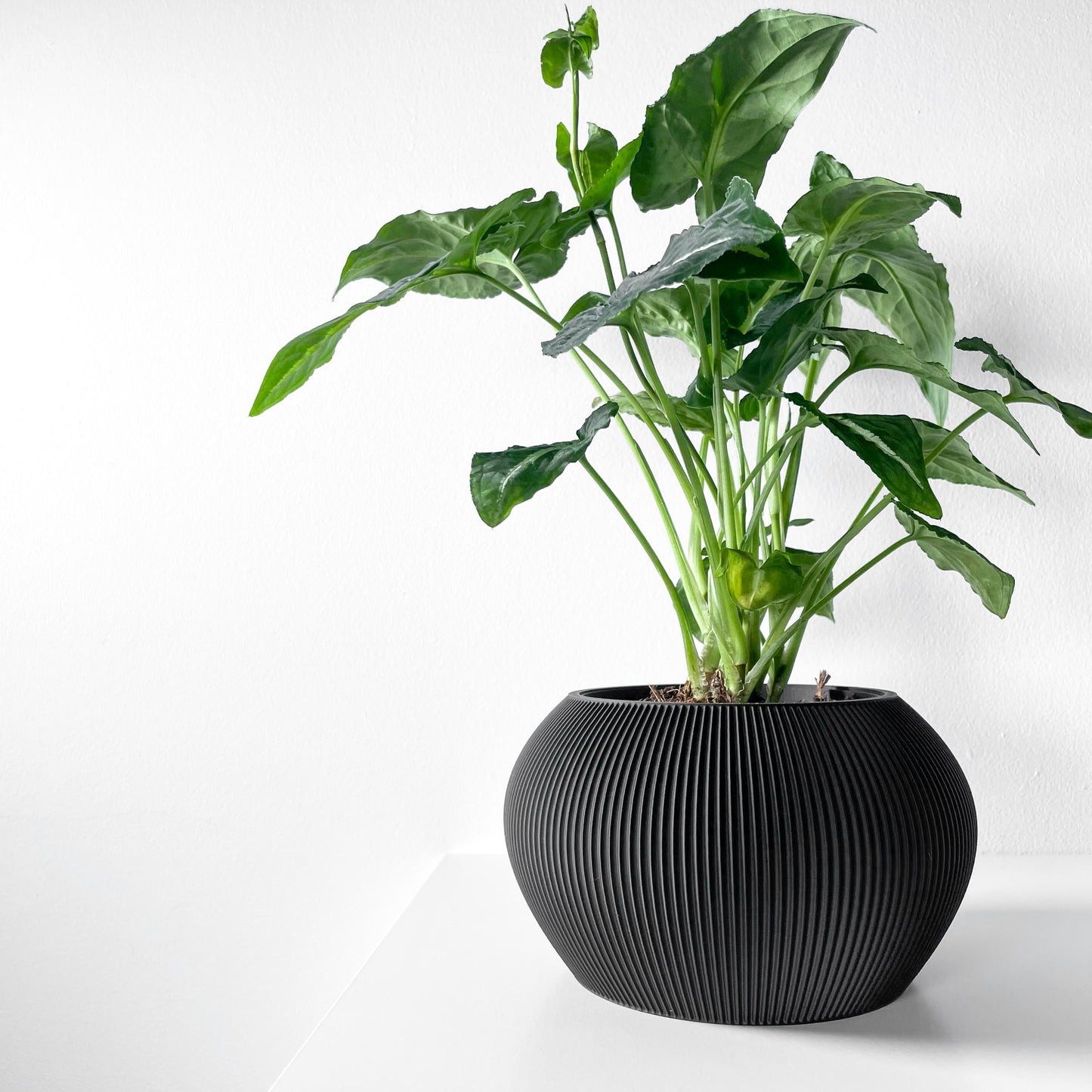 The Melfi Planter