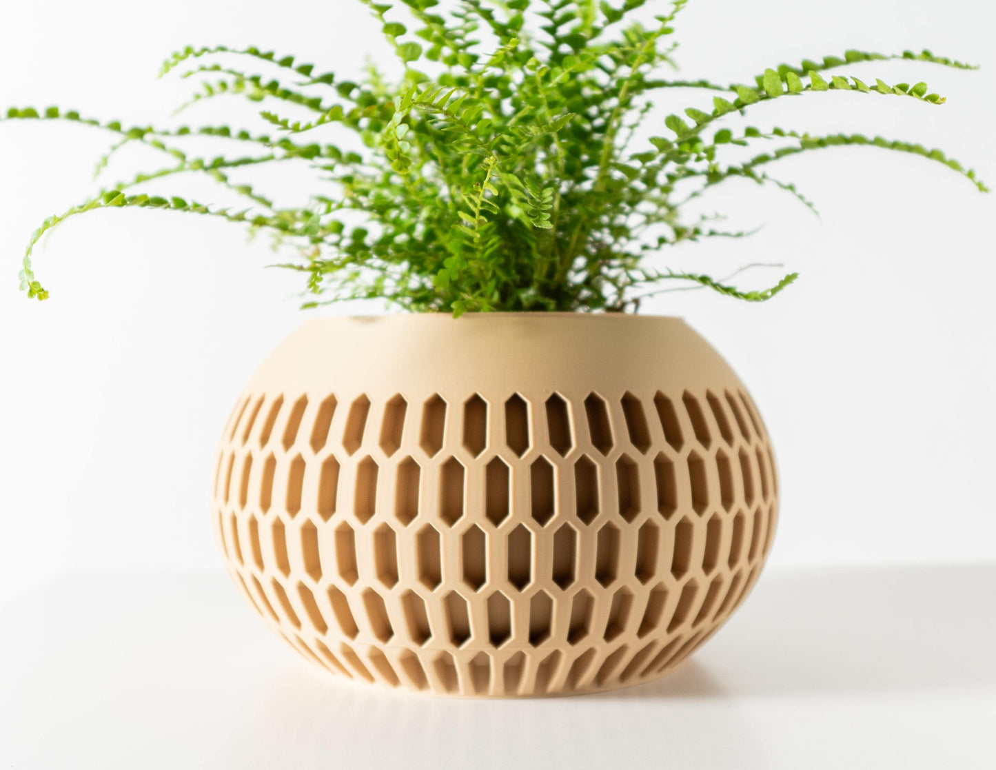 The Mervis Planter