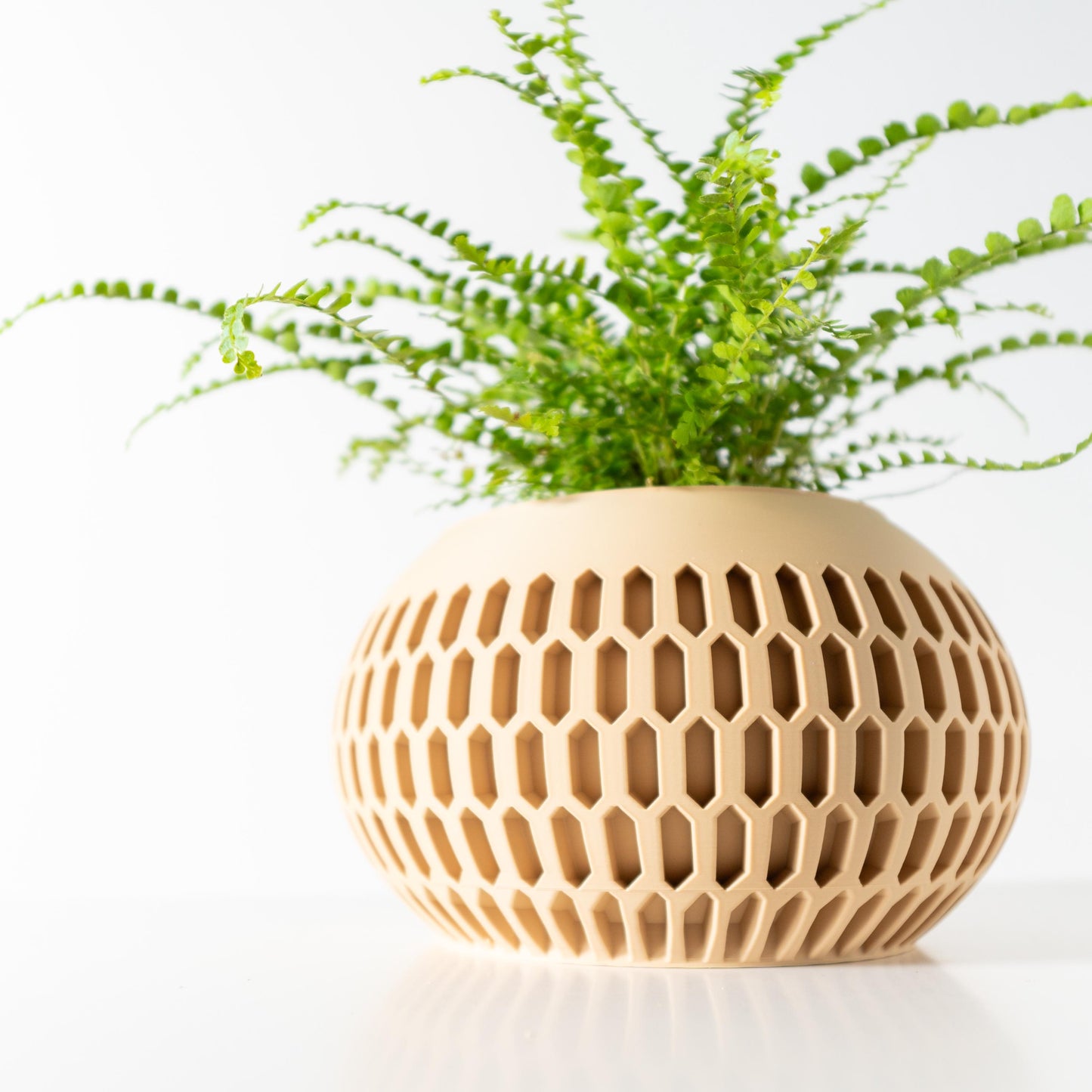 The Mervis Planter