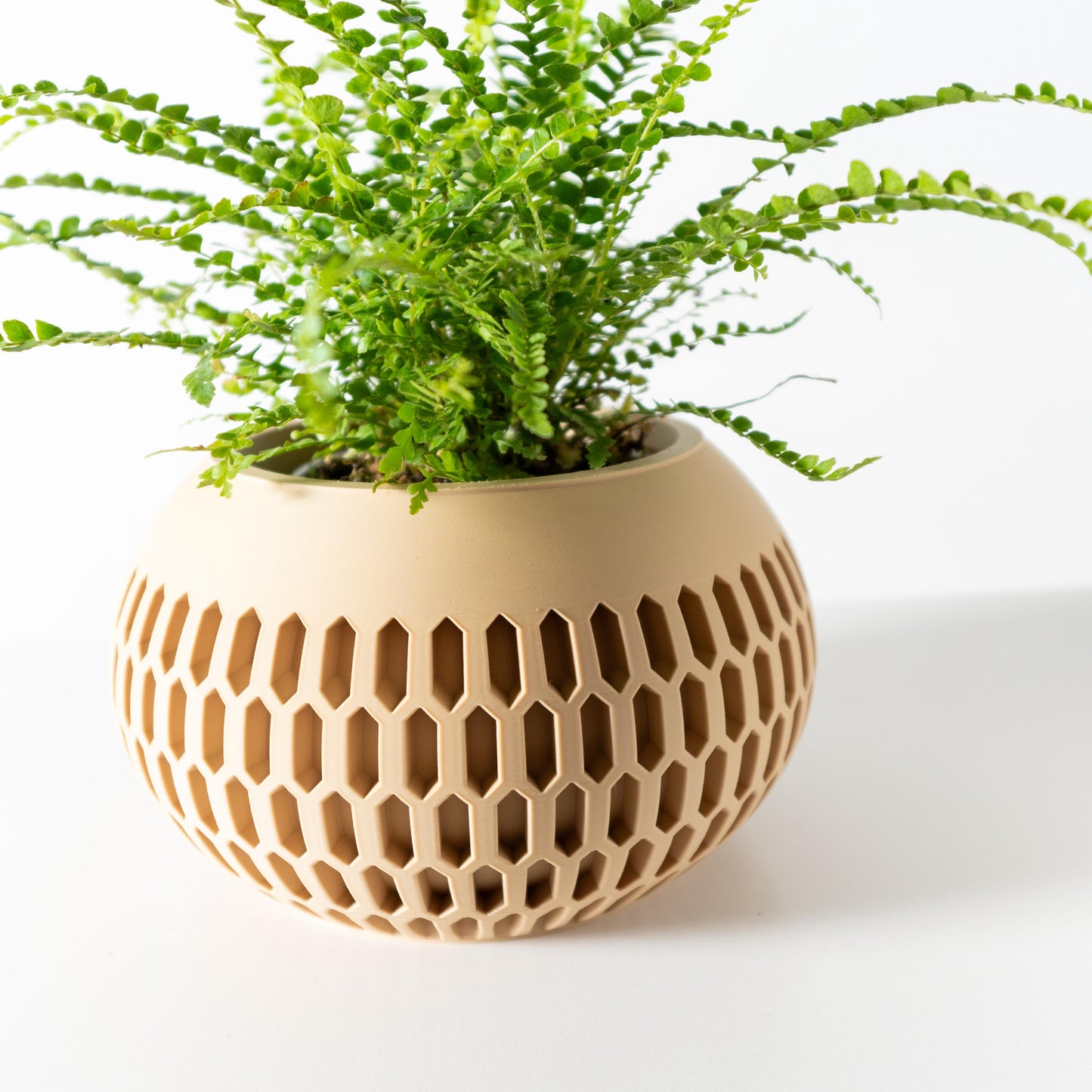 The Mervis Planter