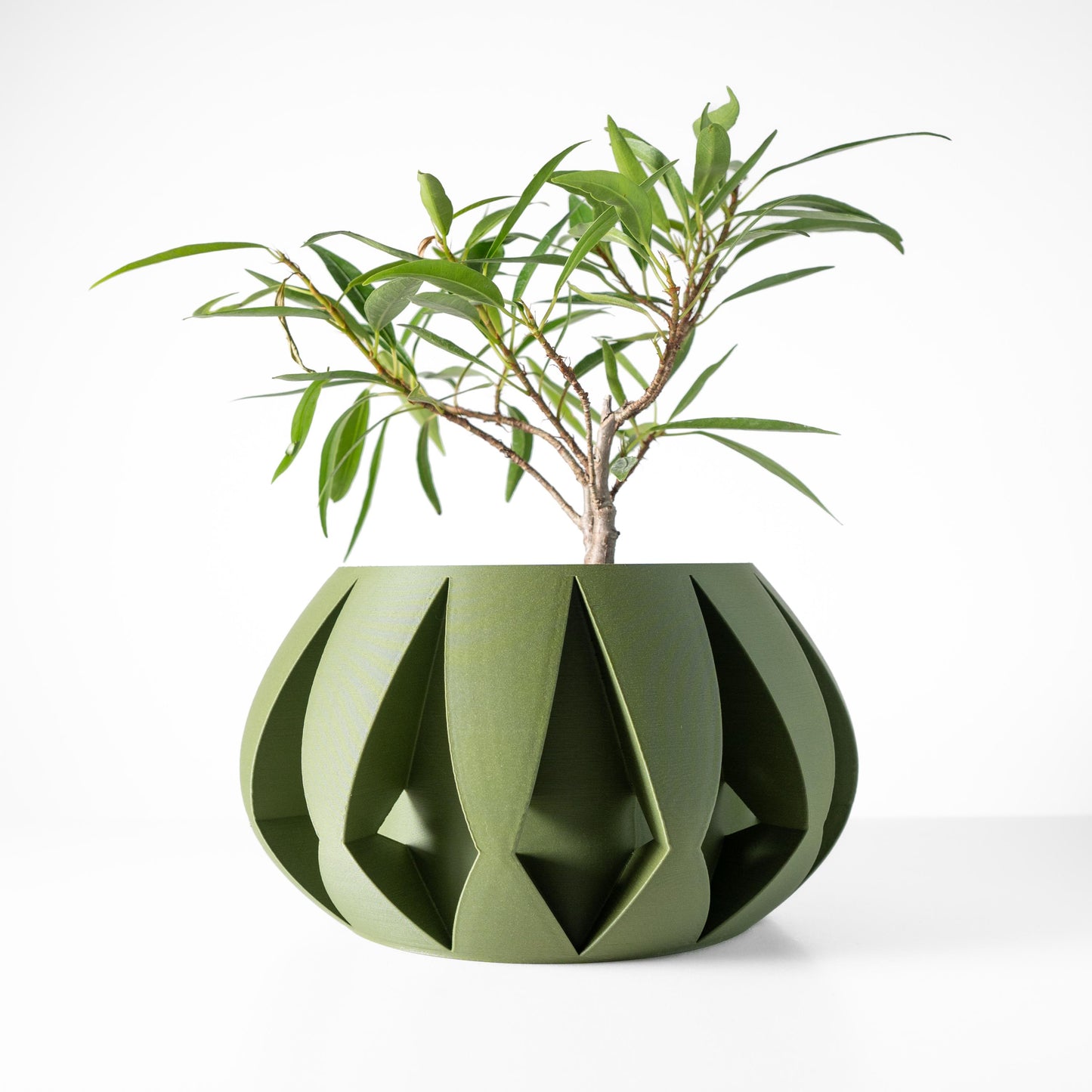 The Moki Planter