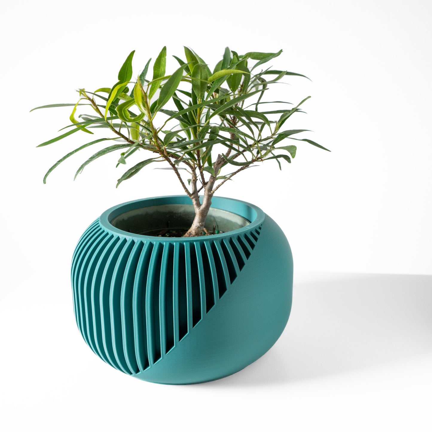The Narvo Planter
