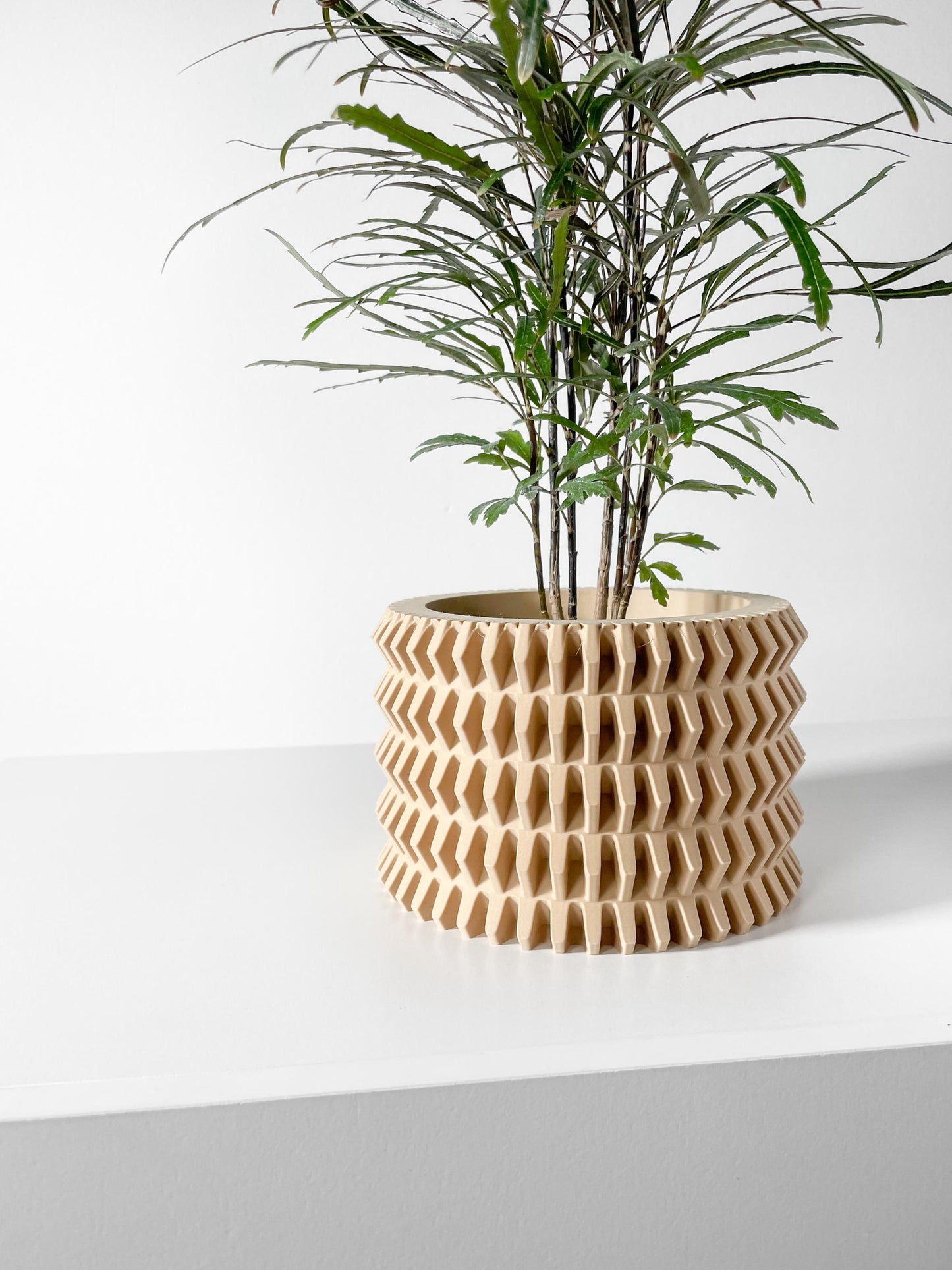 The Nimex Planter