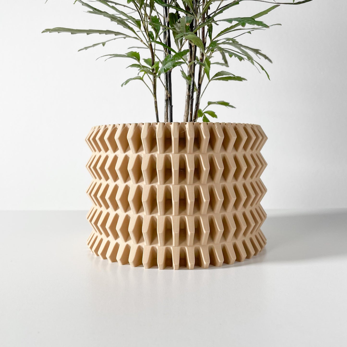 The Nimex Planter