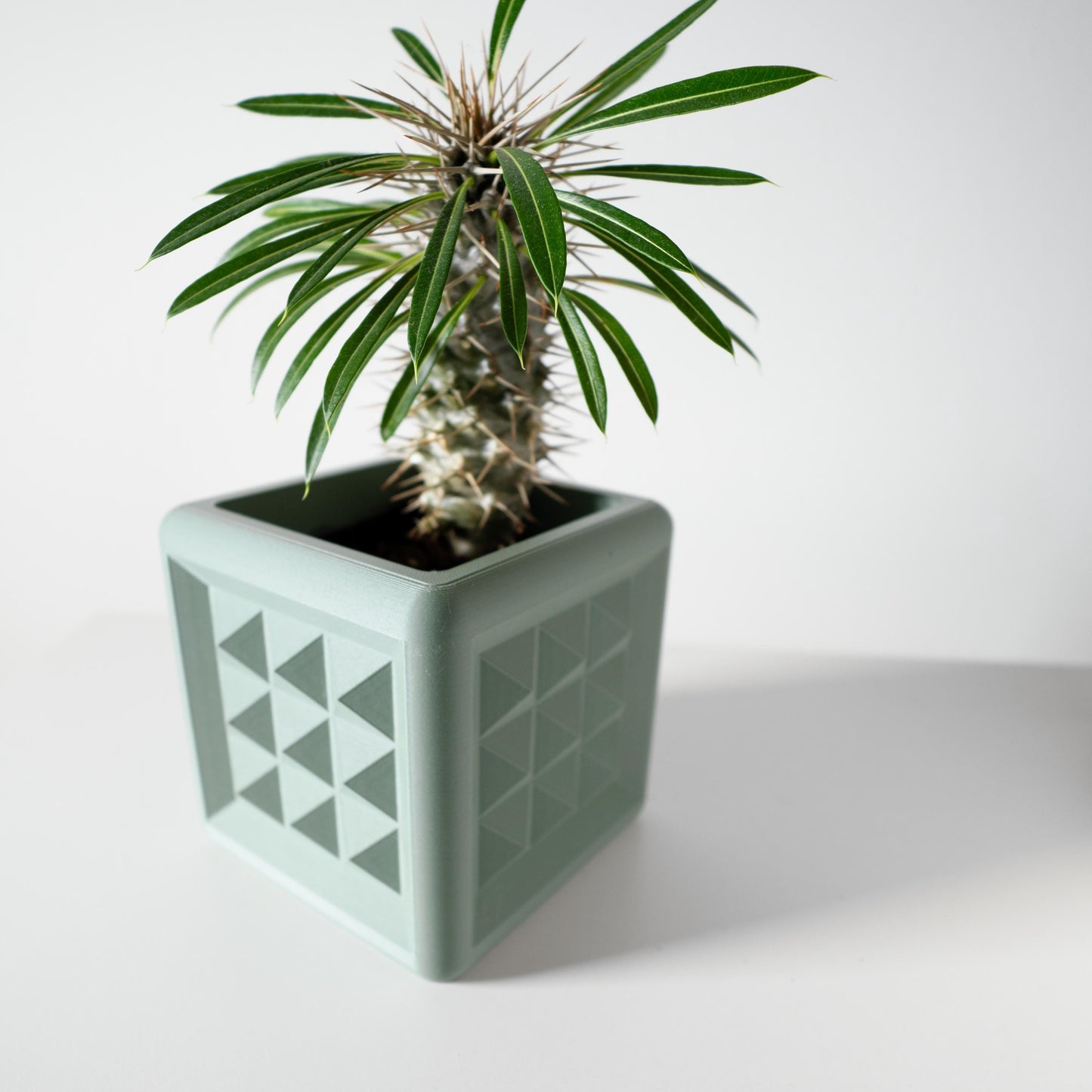 The Novo Planter