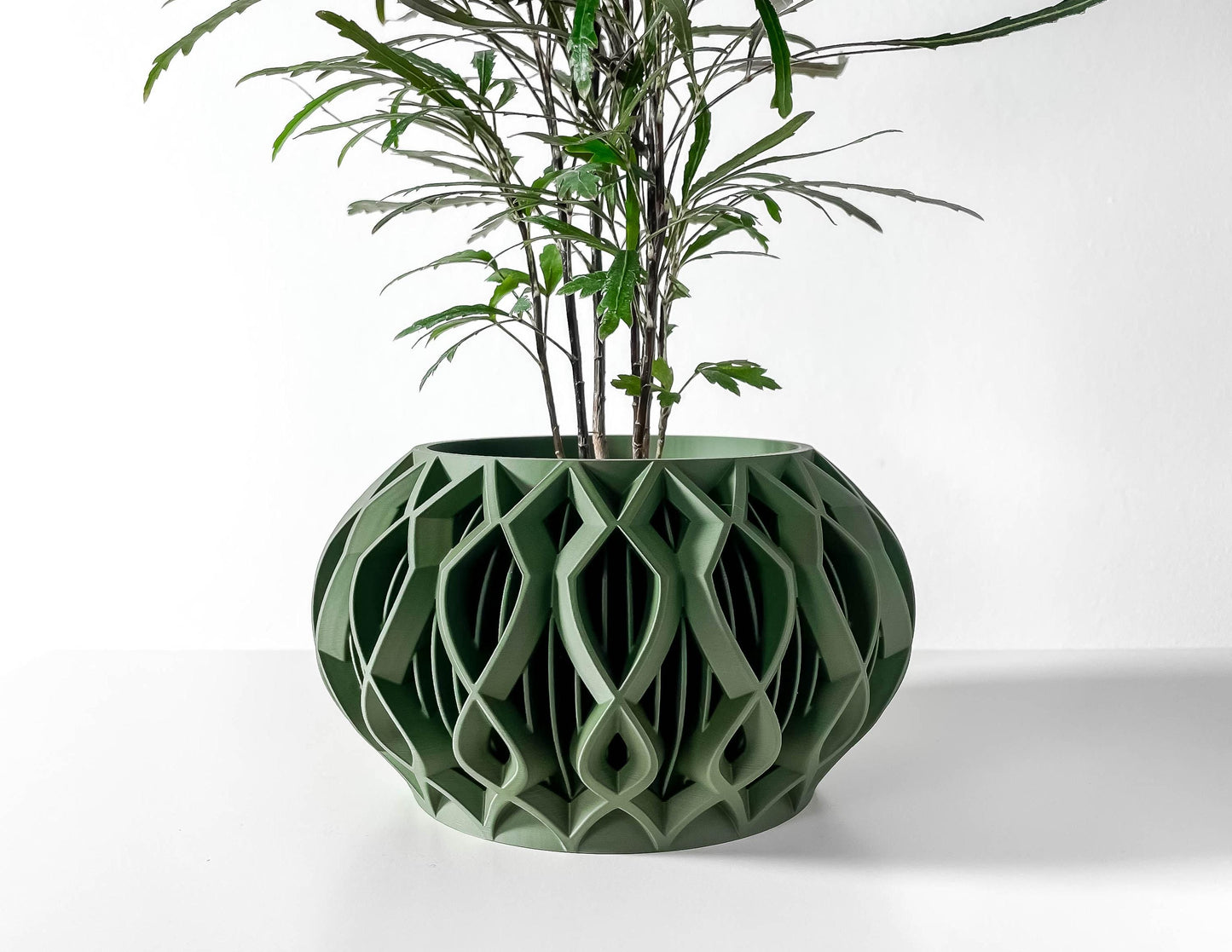 The Octa Planter