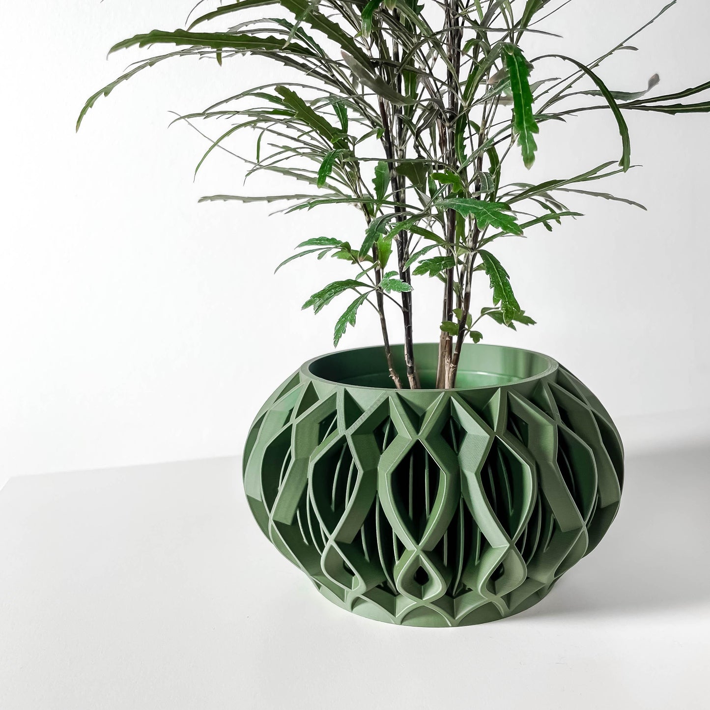 The Octa Planter