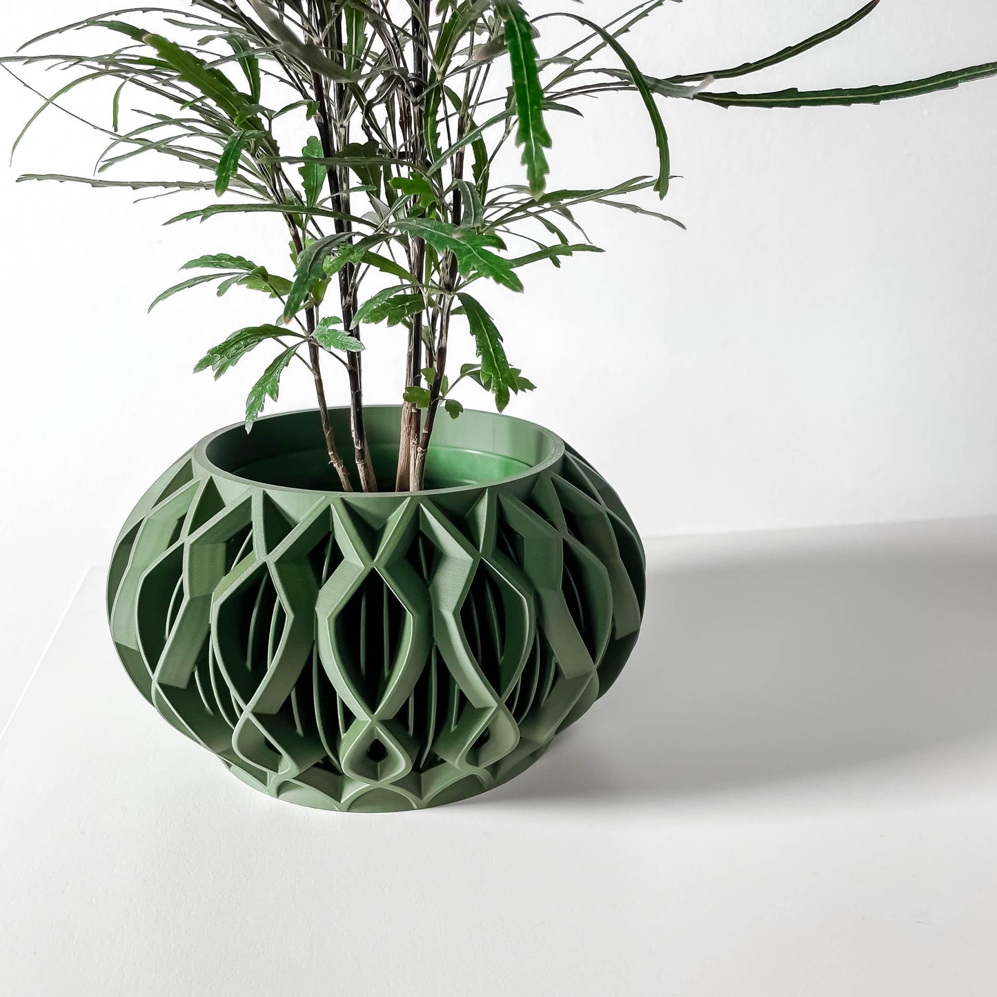 The Octa Planter