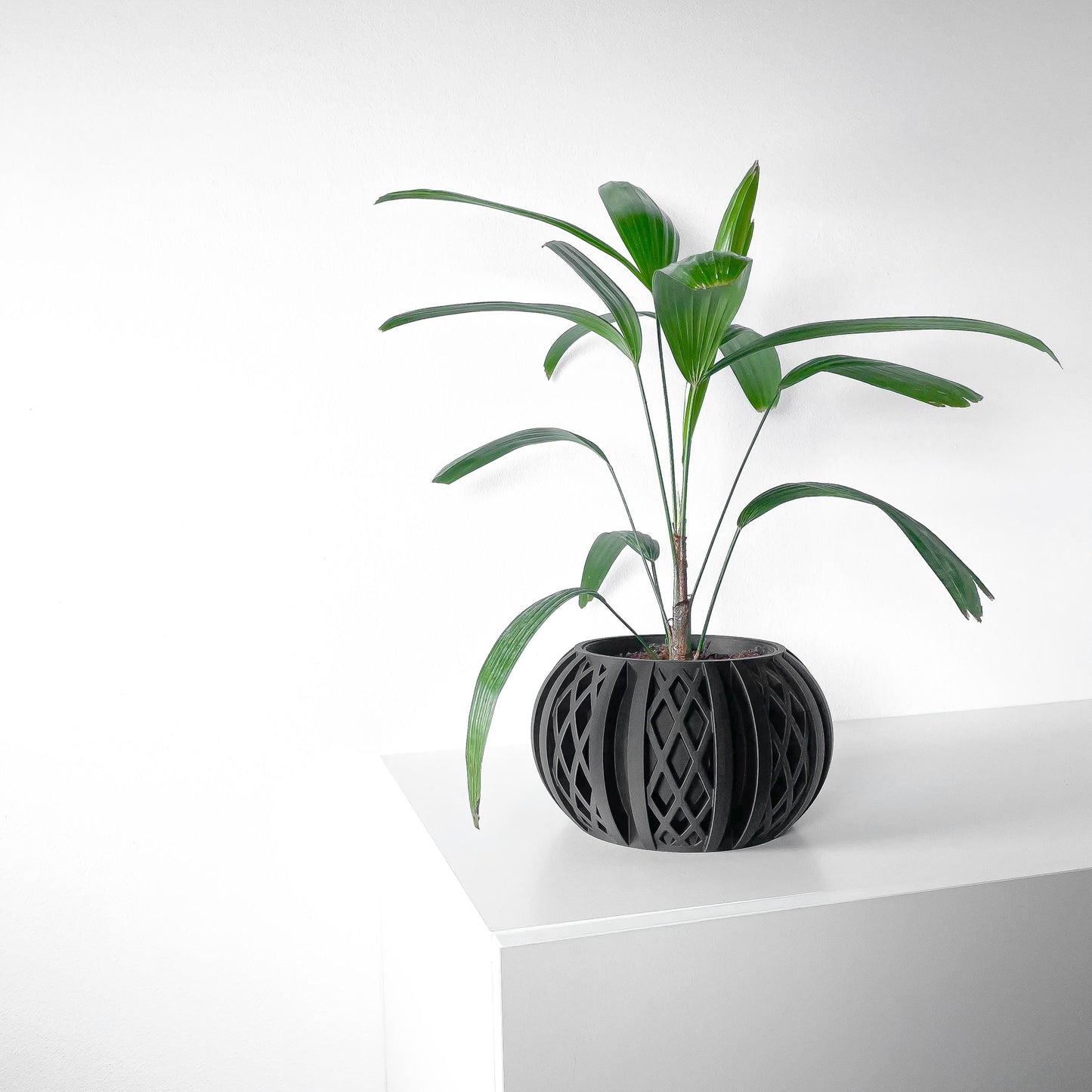 The Quivon Planter