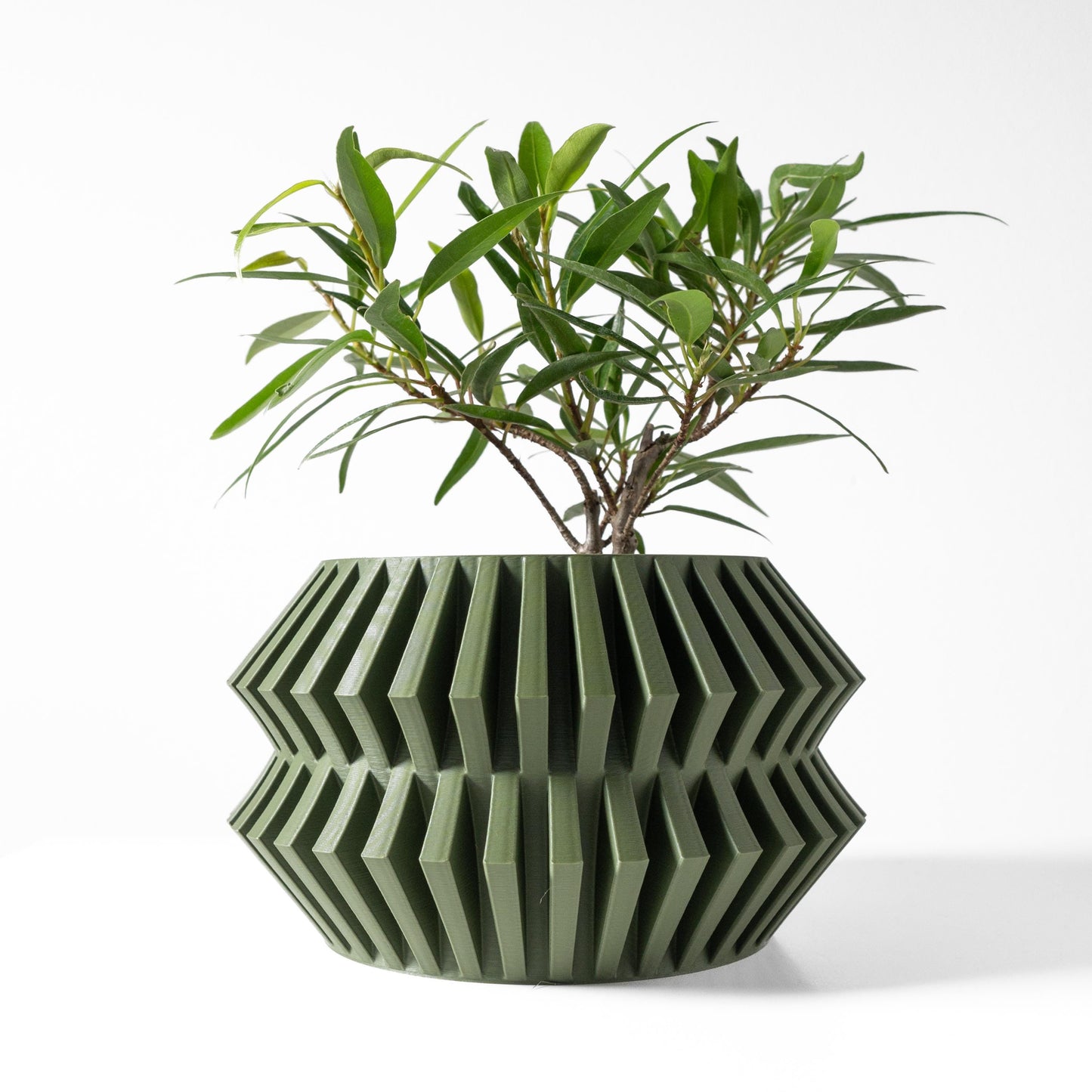 The Ritar Planter