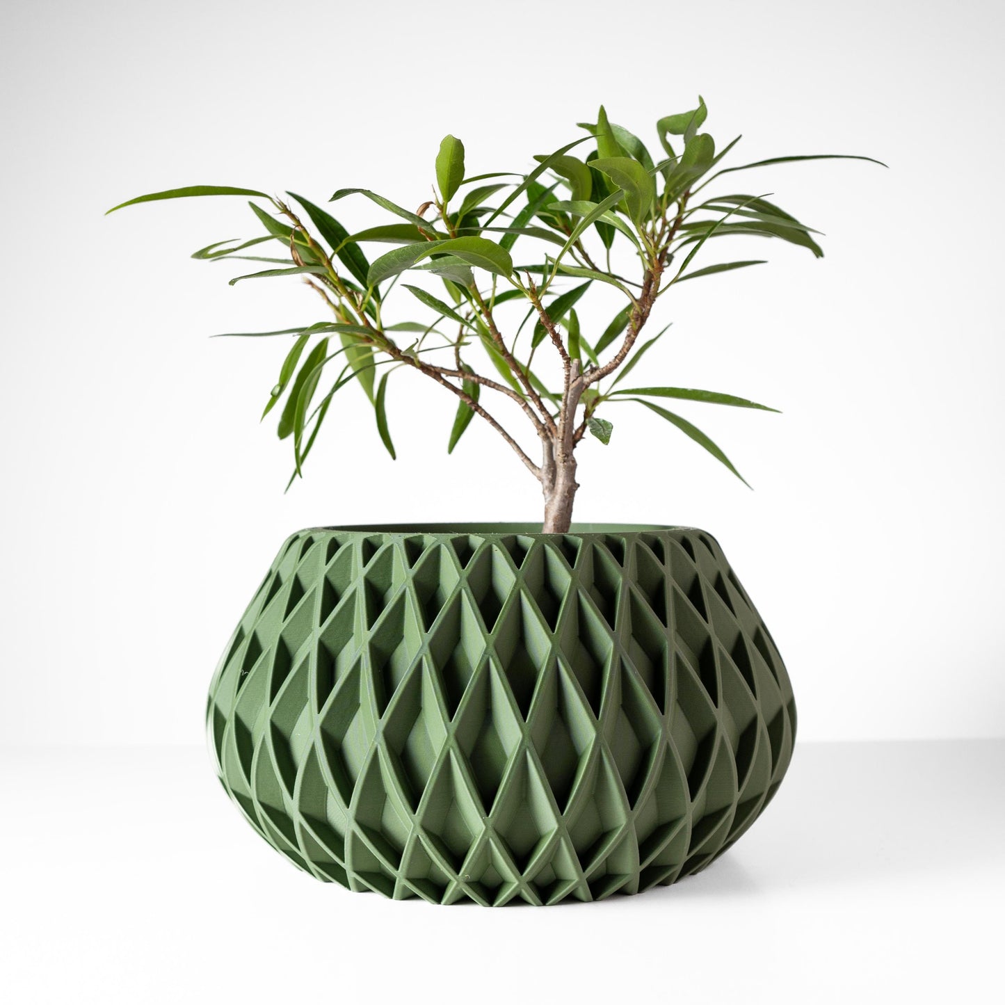 The Rivio Planter