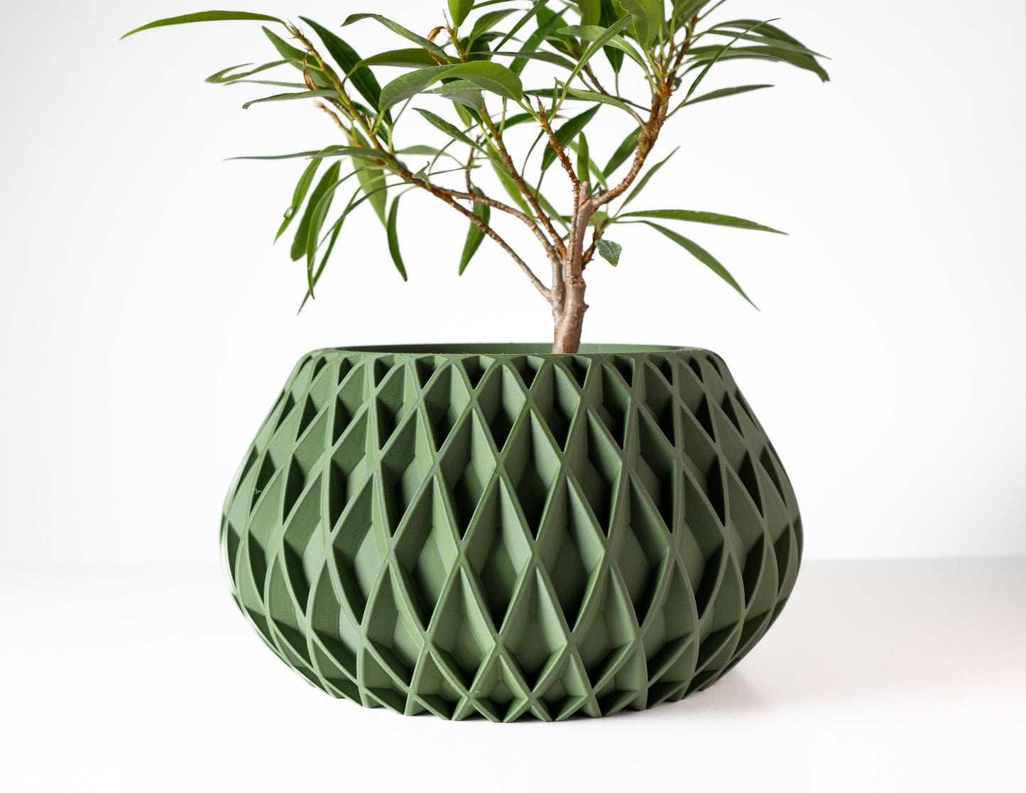 The Rivio Planter