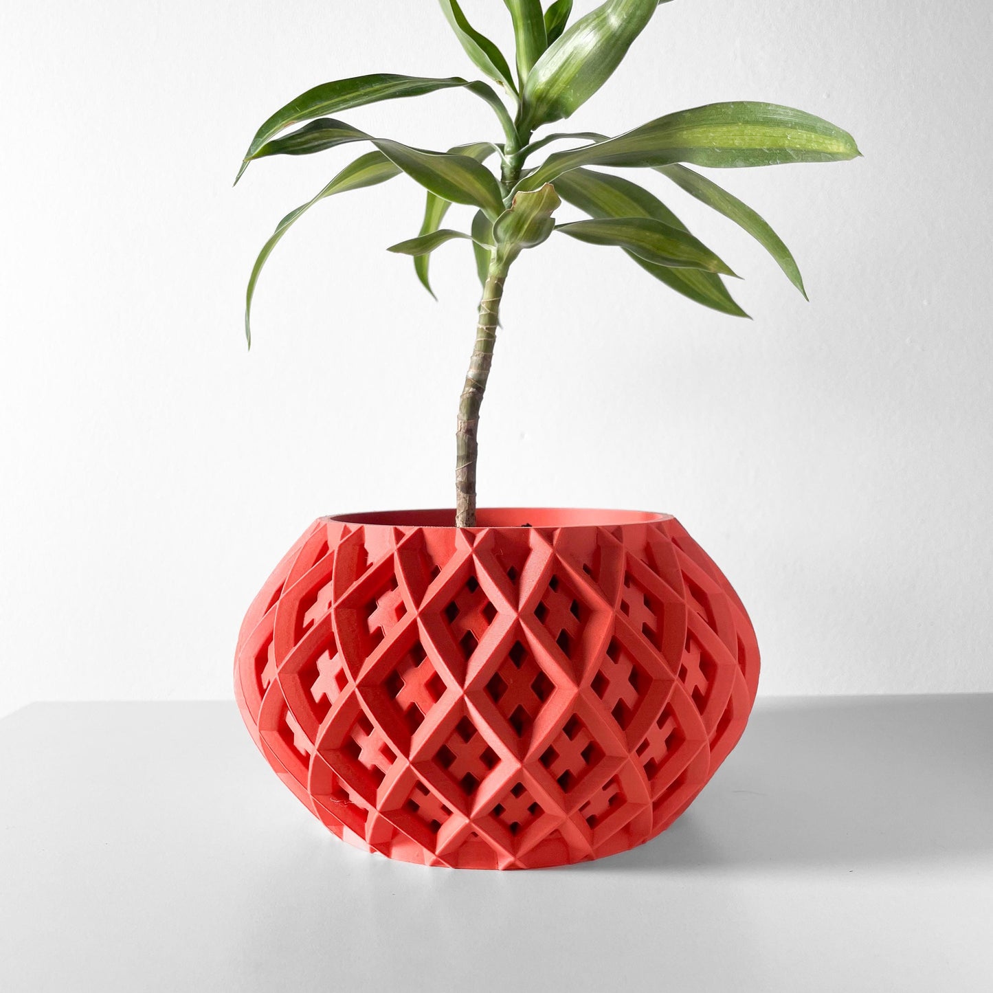 The Rokio Planter