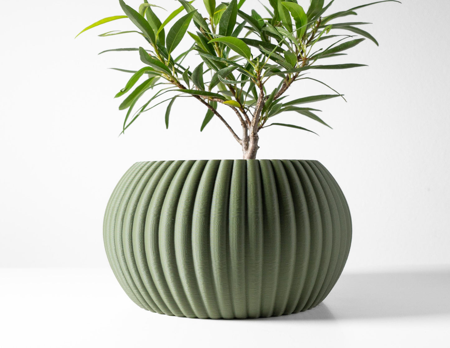 The Roni Planter