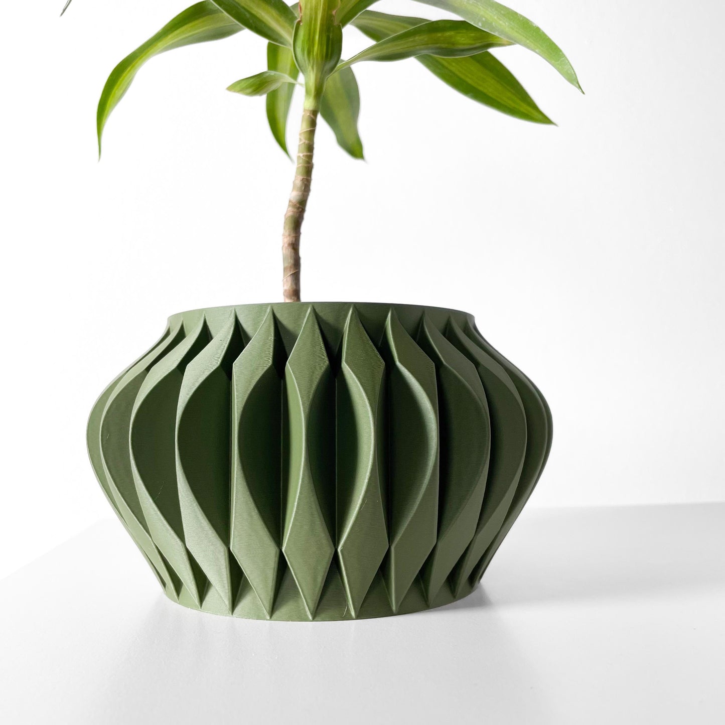 The Sevi Planter