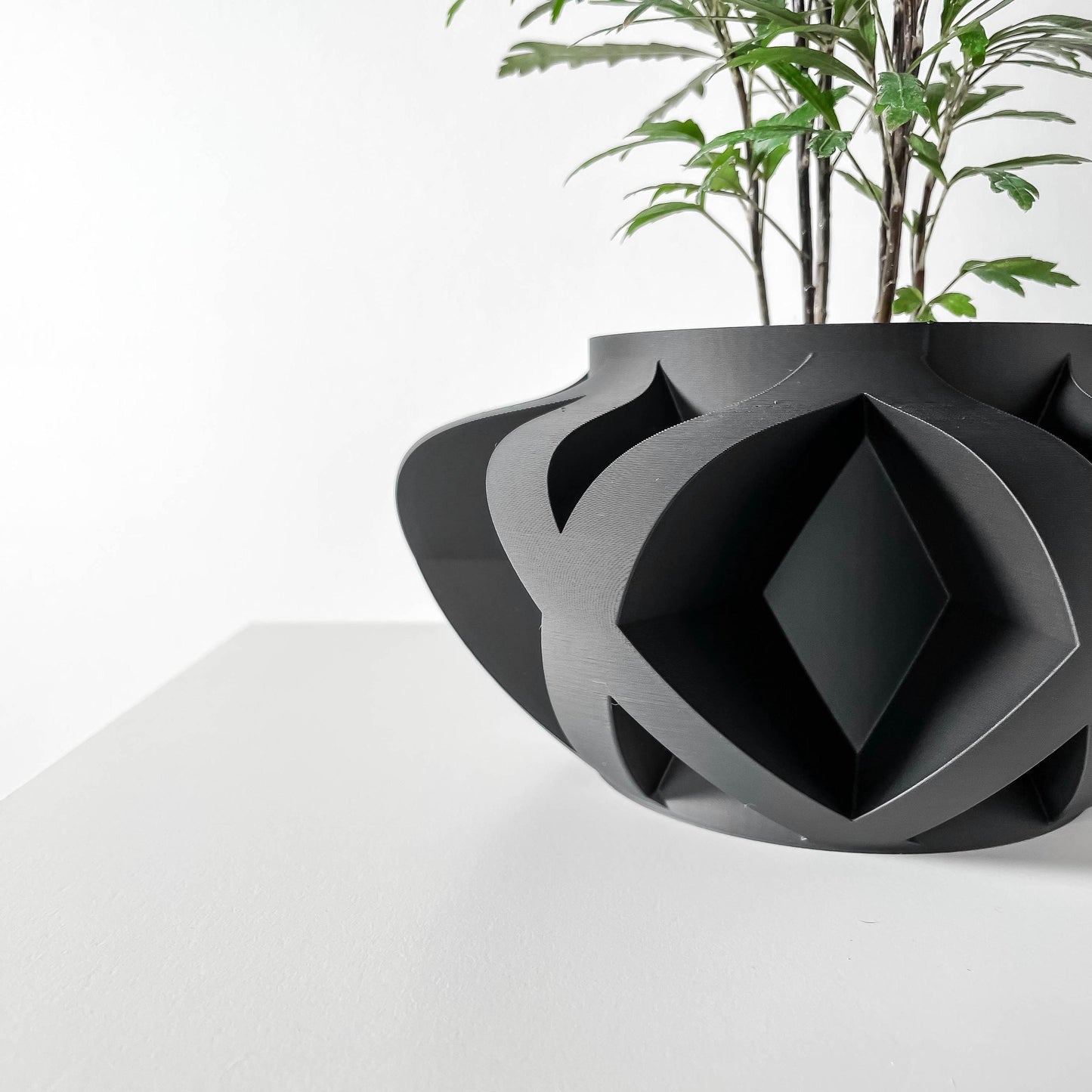 The Sono Planter