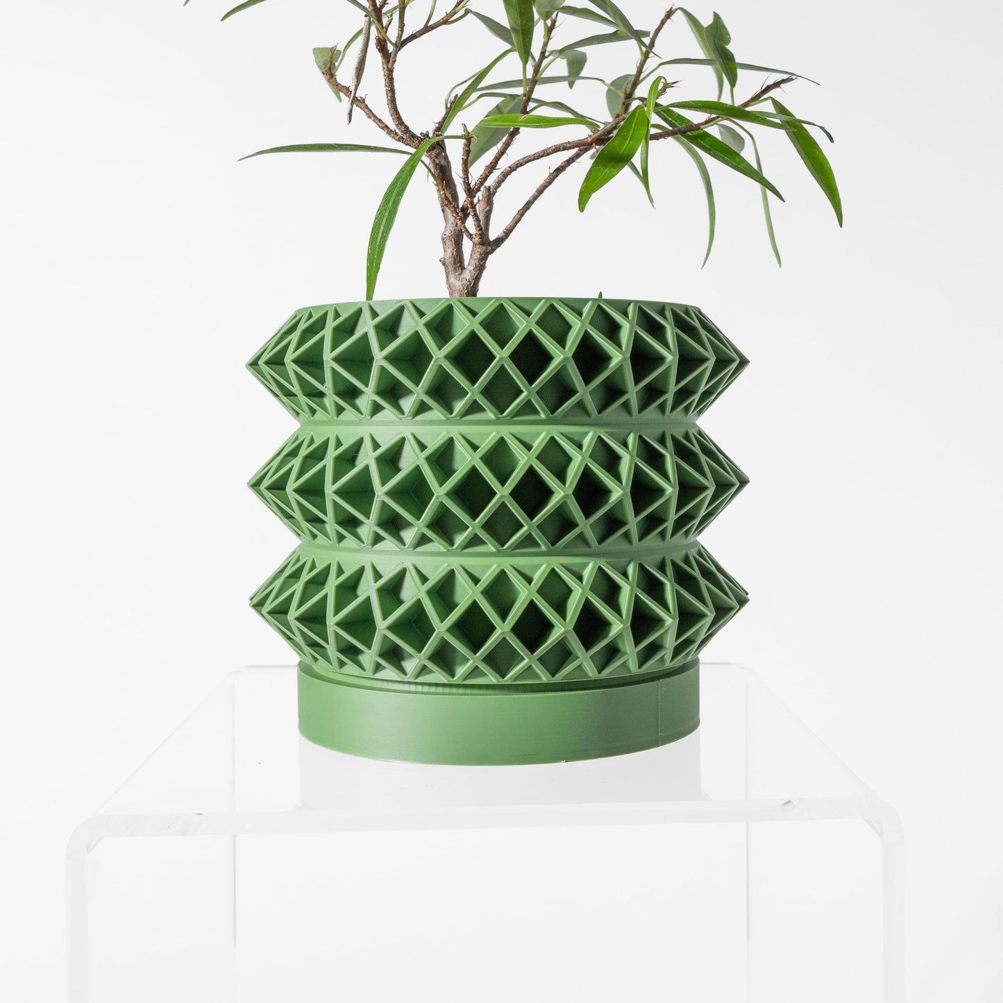 The Tomo Planter