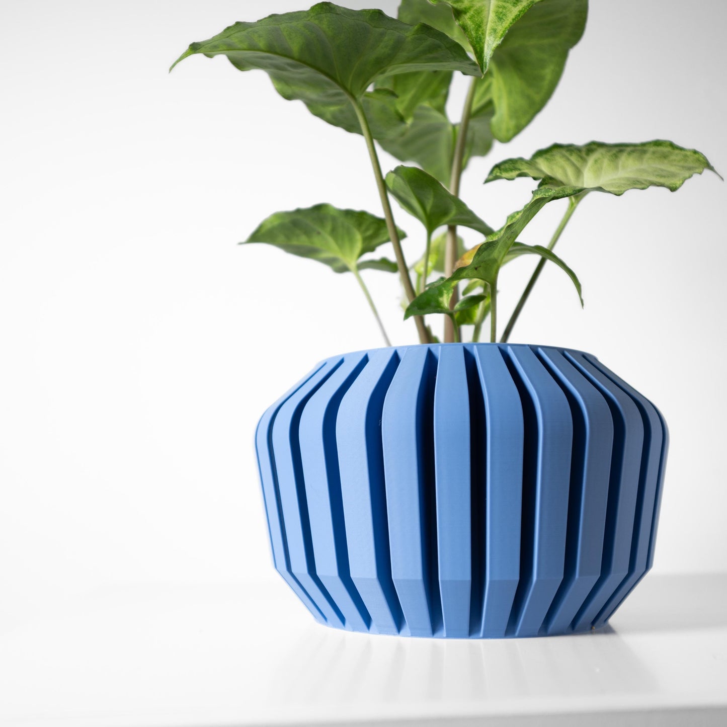 The Vaki Planter