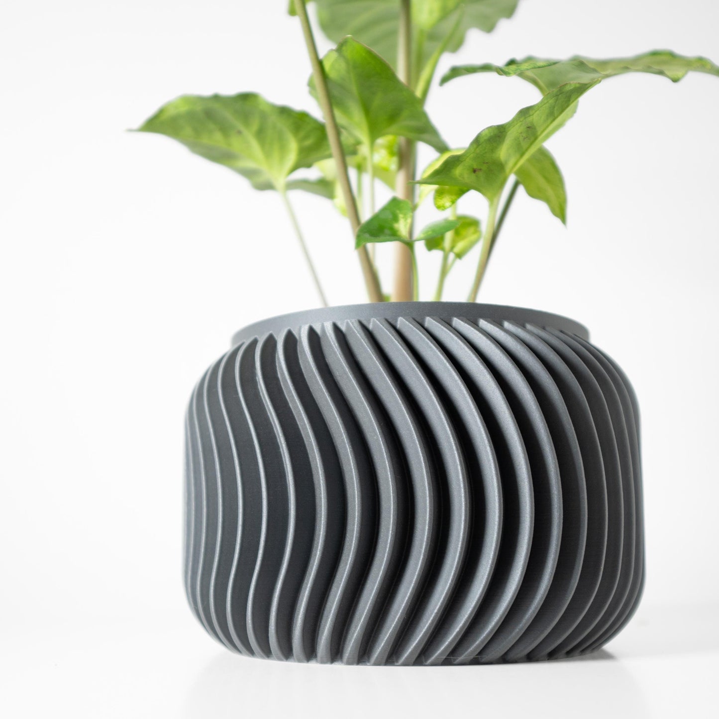 The Vilex Planter
