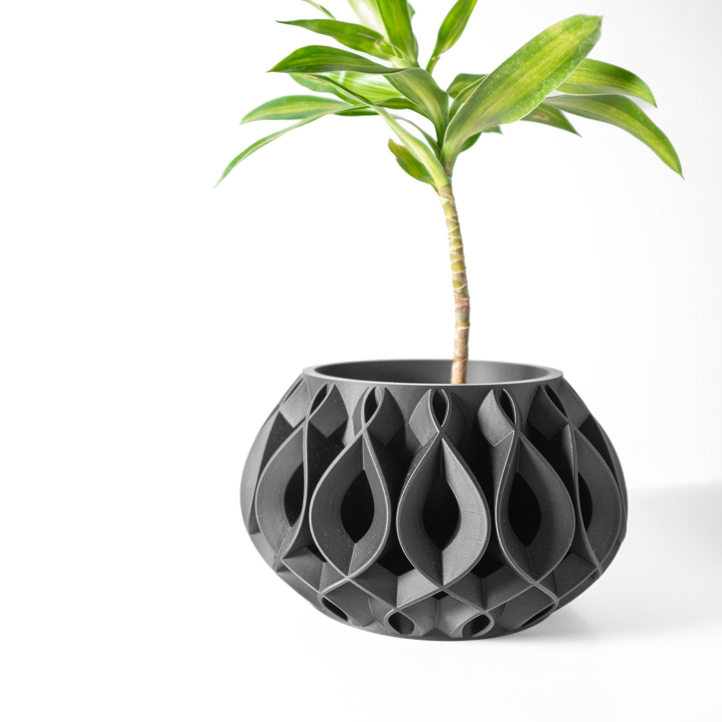 The Viris Planter